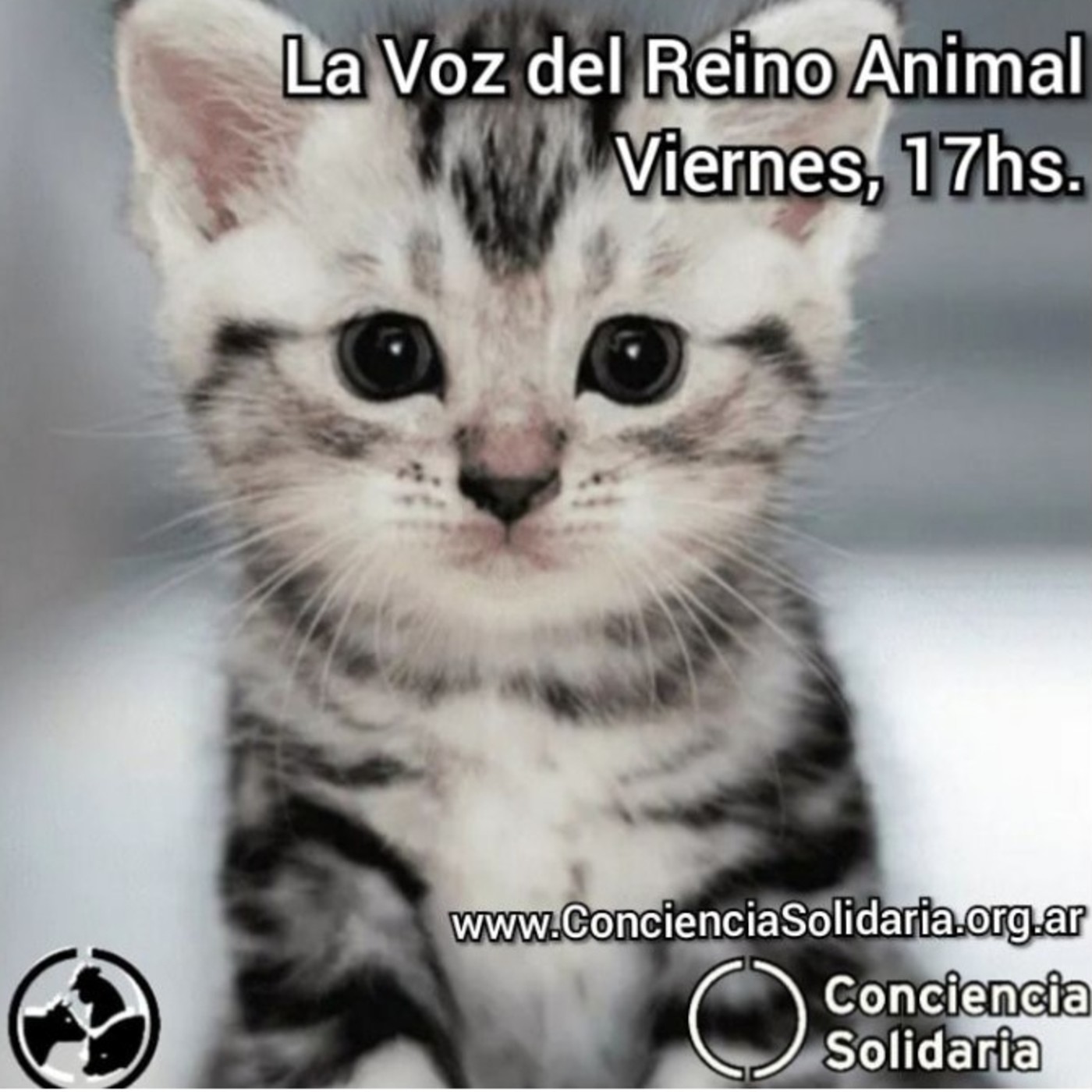 Extracto del programa radial #LaVozDelReinoAnimal! 6.9.19 episode artwork