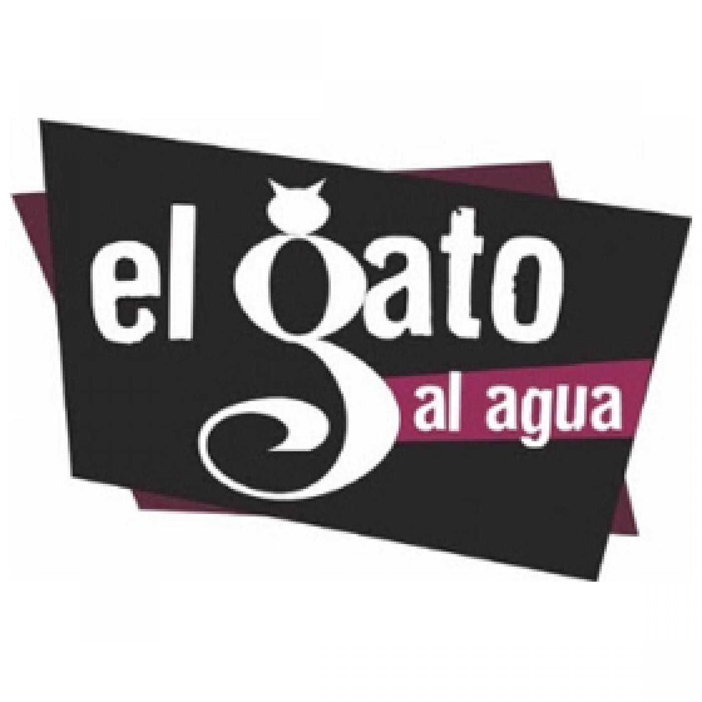 Televisión / Radio: Debates y entrevistas