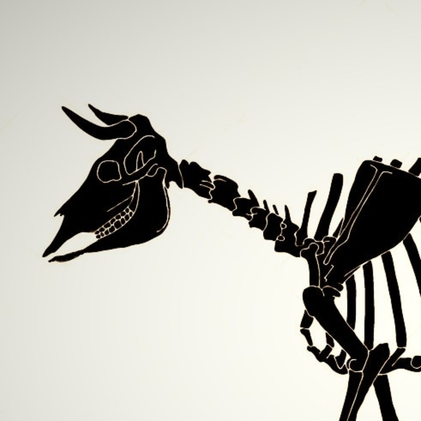Vaca Negra