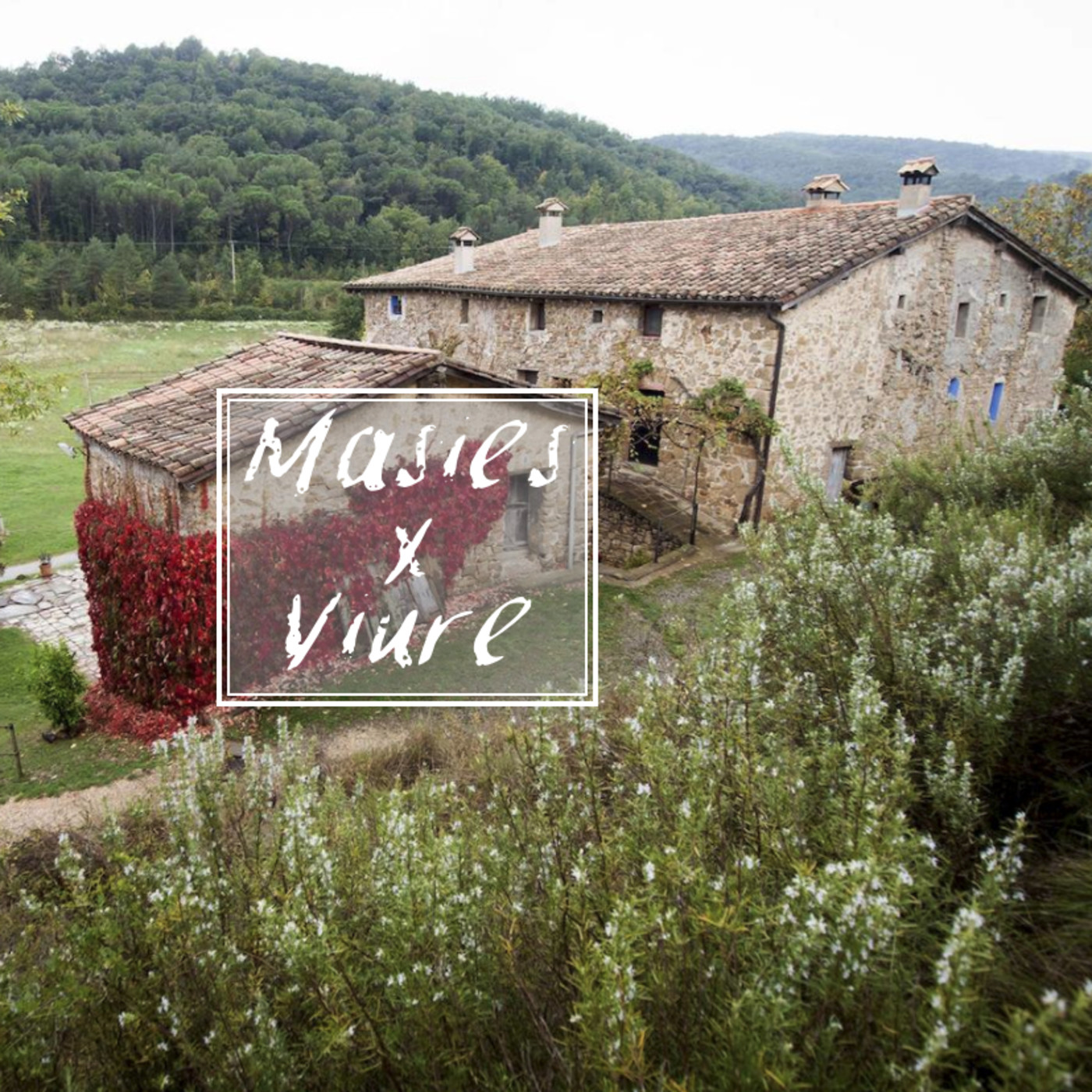 Creen una app per connectar aquells qui volen iniciar un projecte d'habitatge o treball al món rural episode artwork