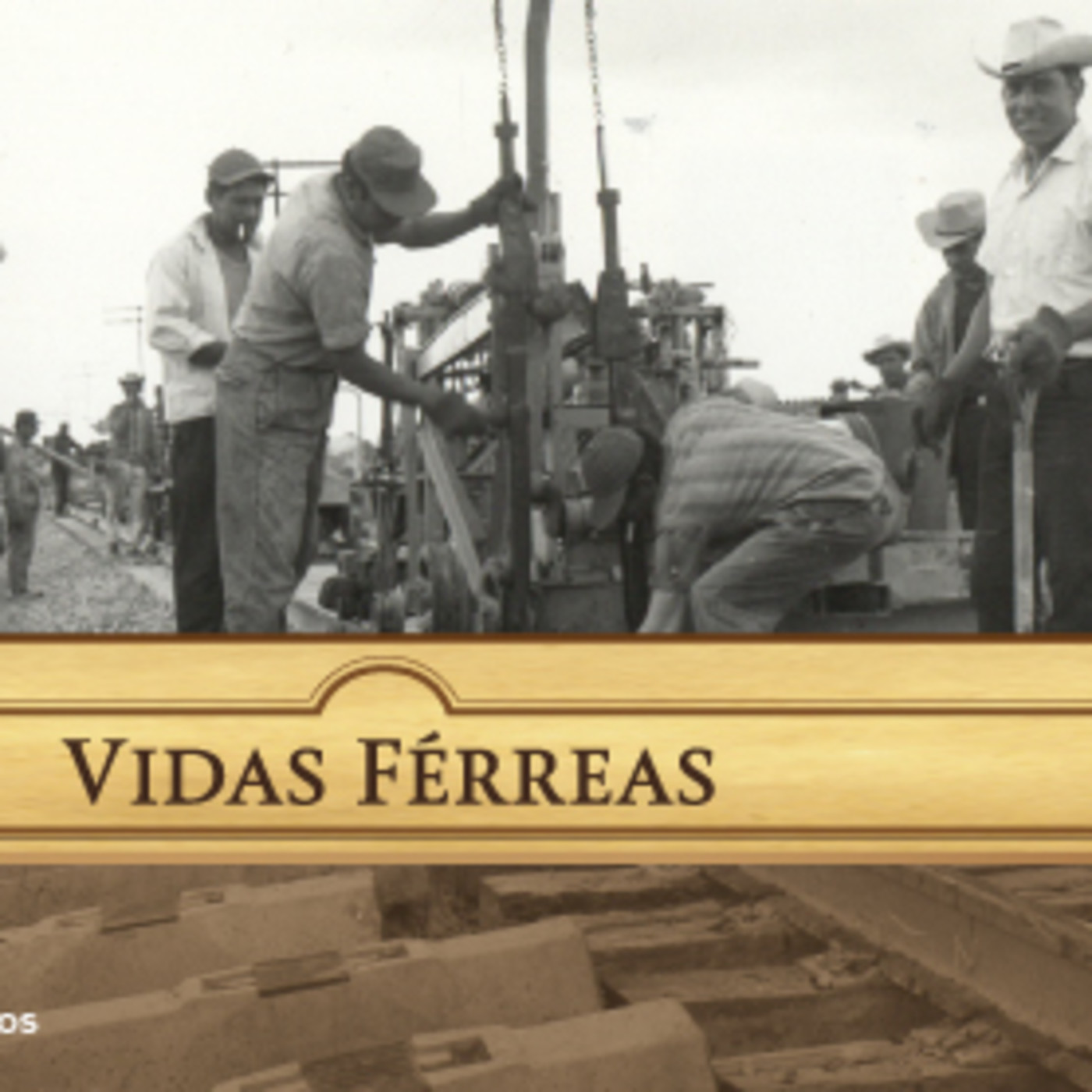 Vidas férreas