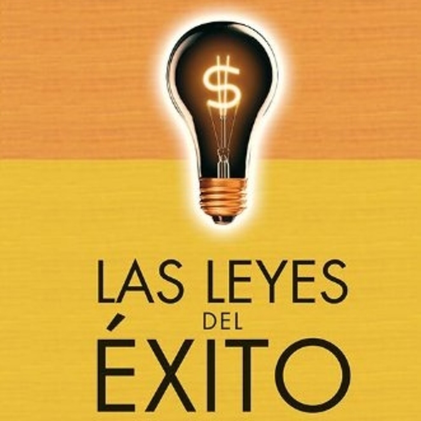 Salvador Mingo -Conocimiento Experto-