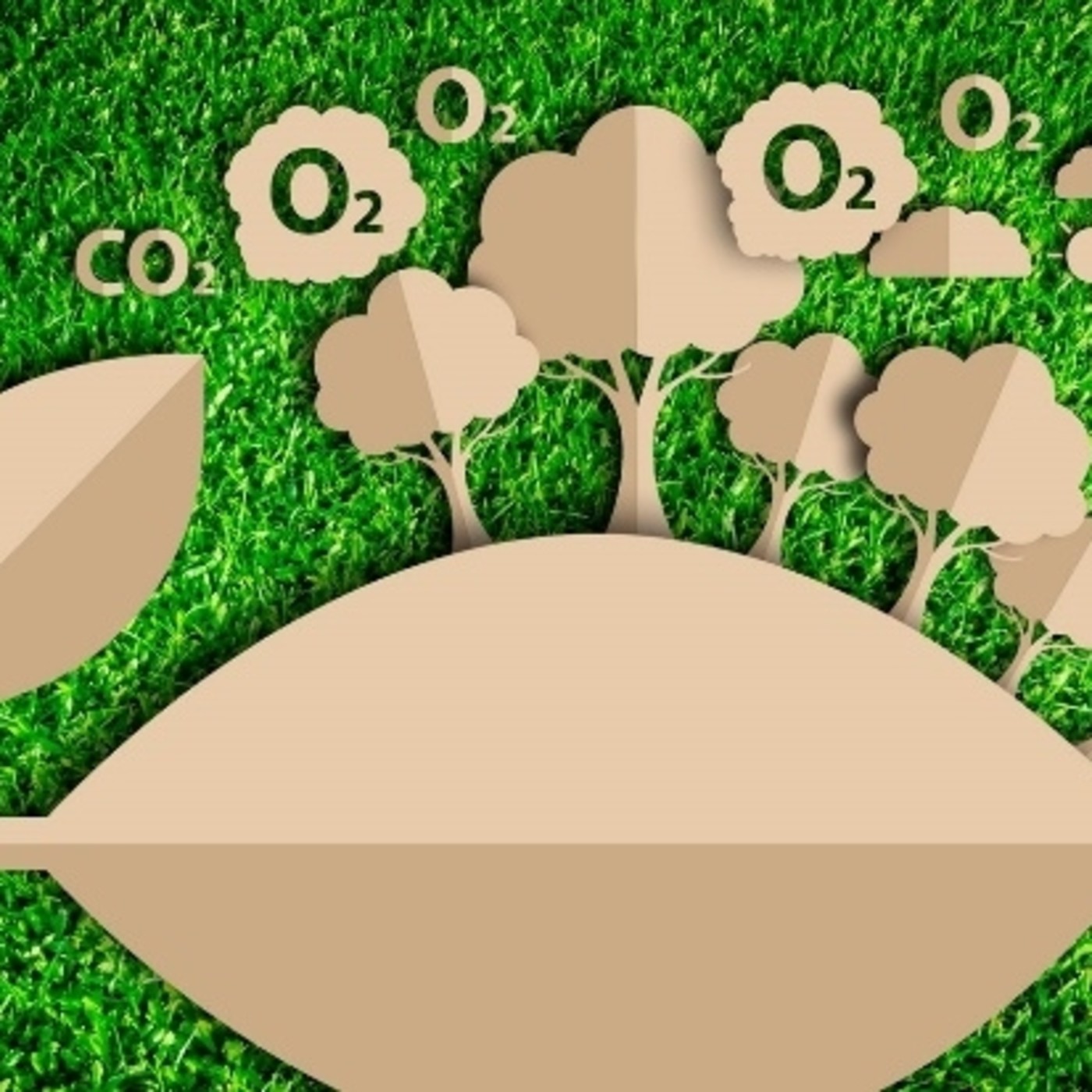 Ambiental Mente