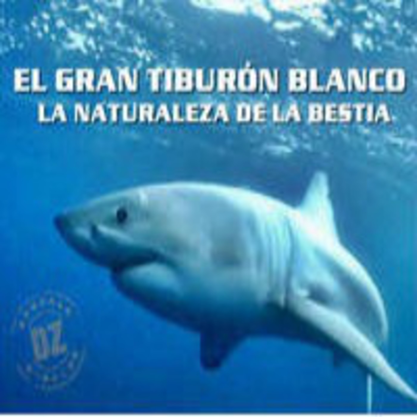 Audio-documentales
