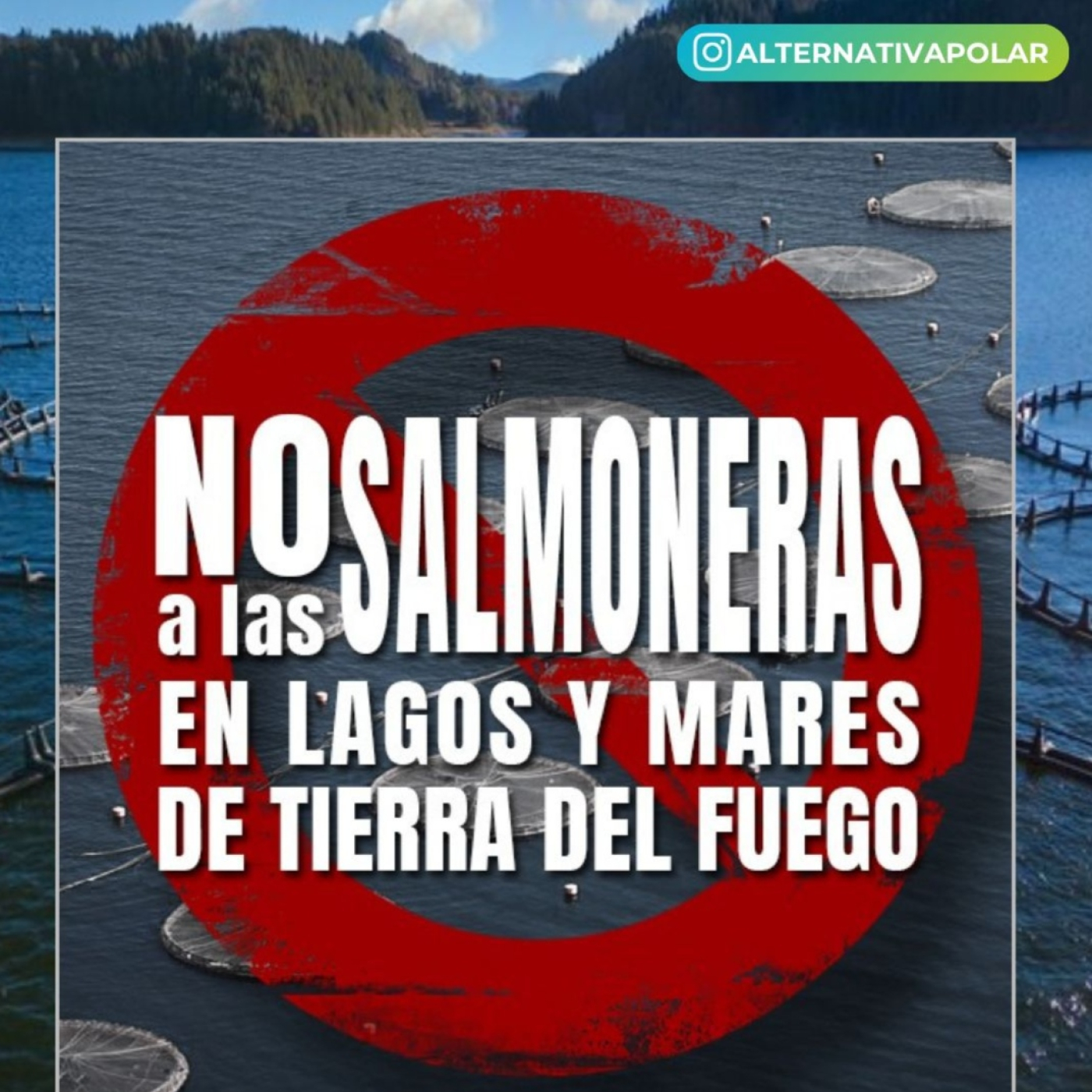 Eco Vida Ambiente