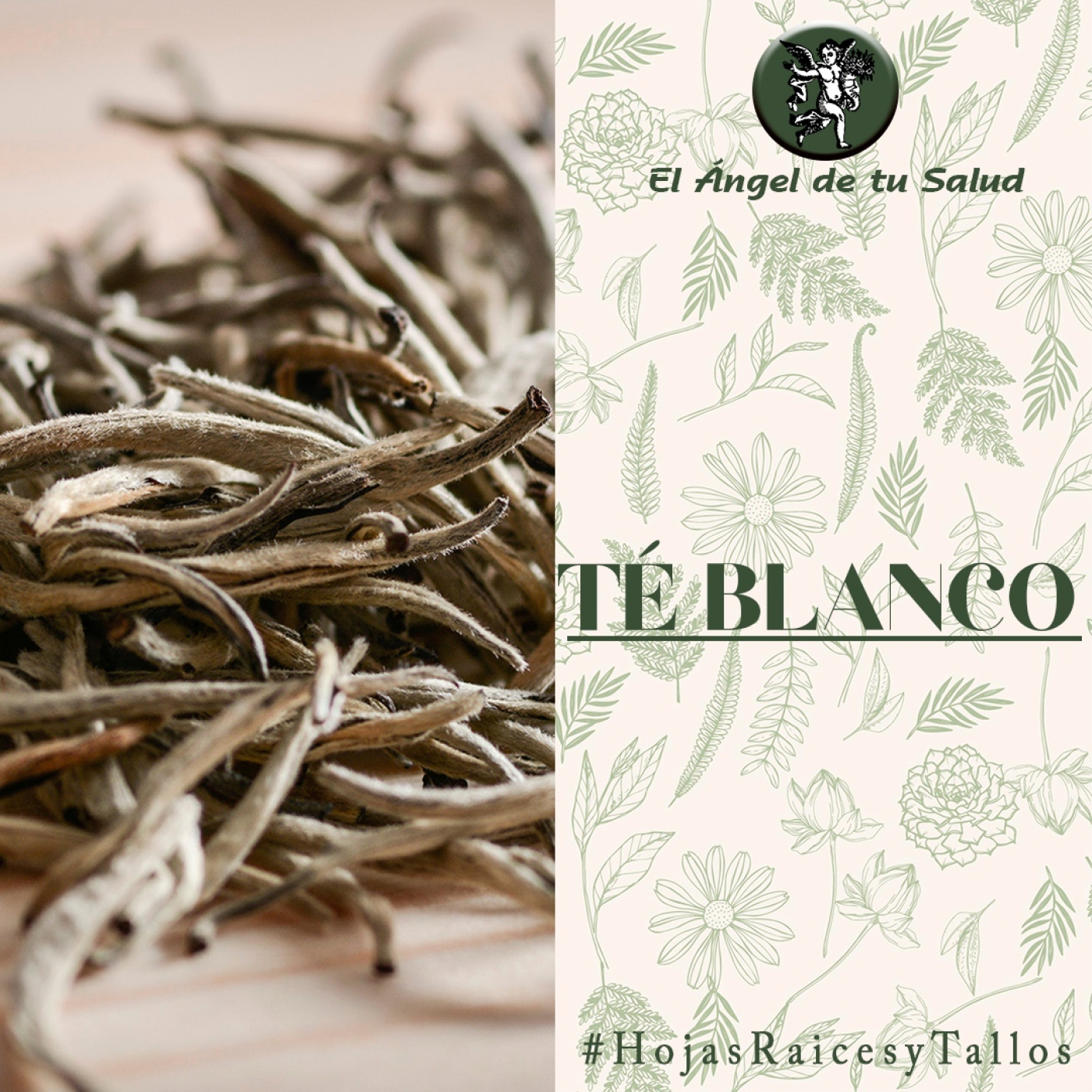 El Ángel de tu Salud - Té Blanco** episode artwork