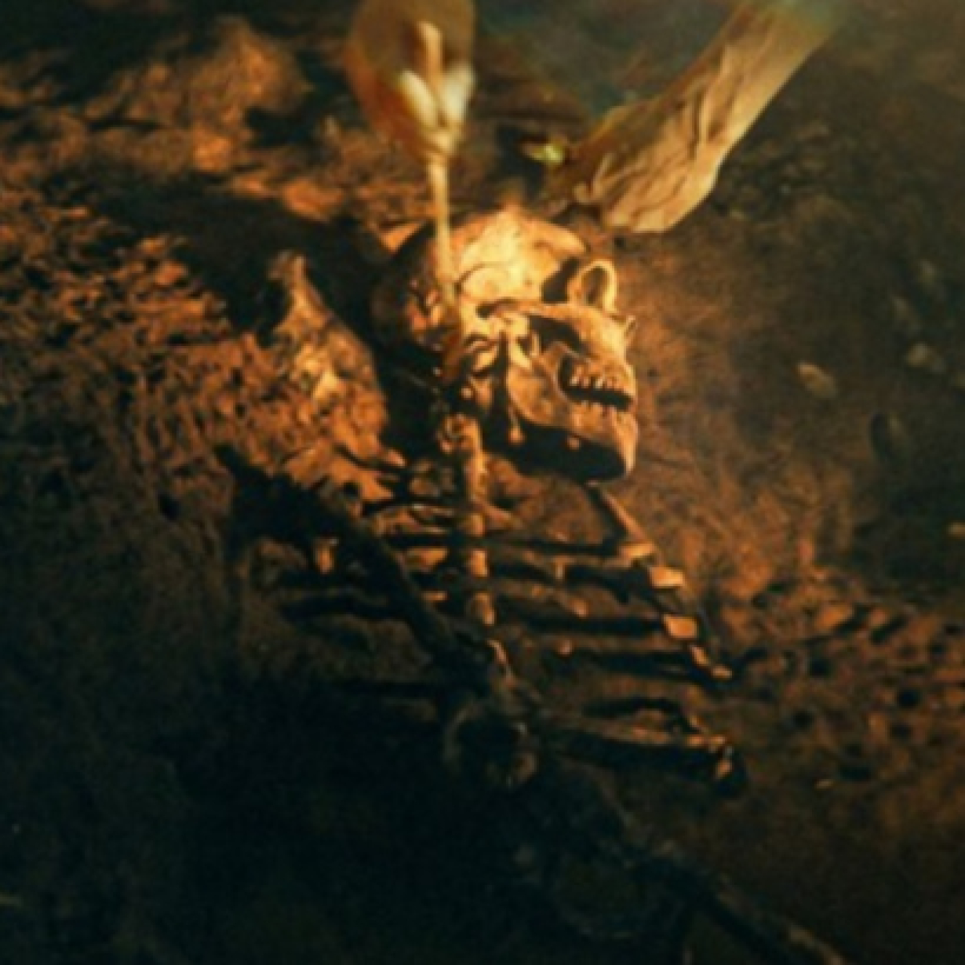 Secretos de los neandertales