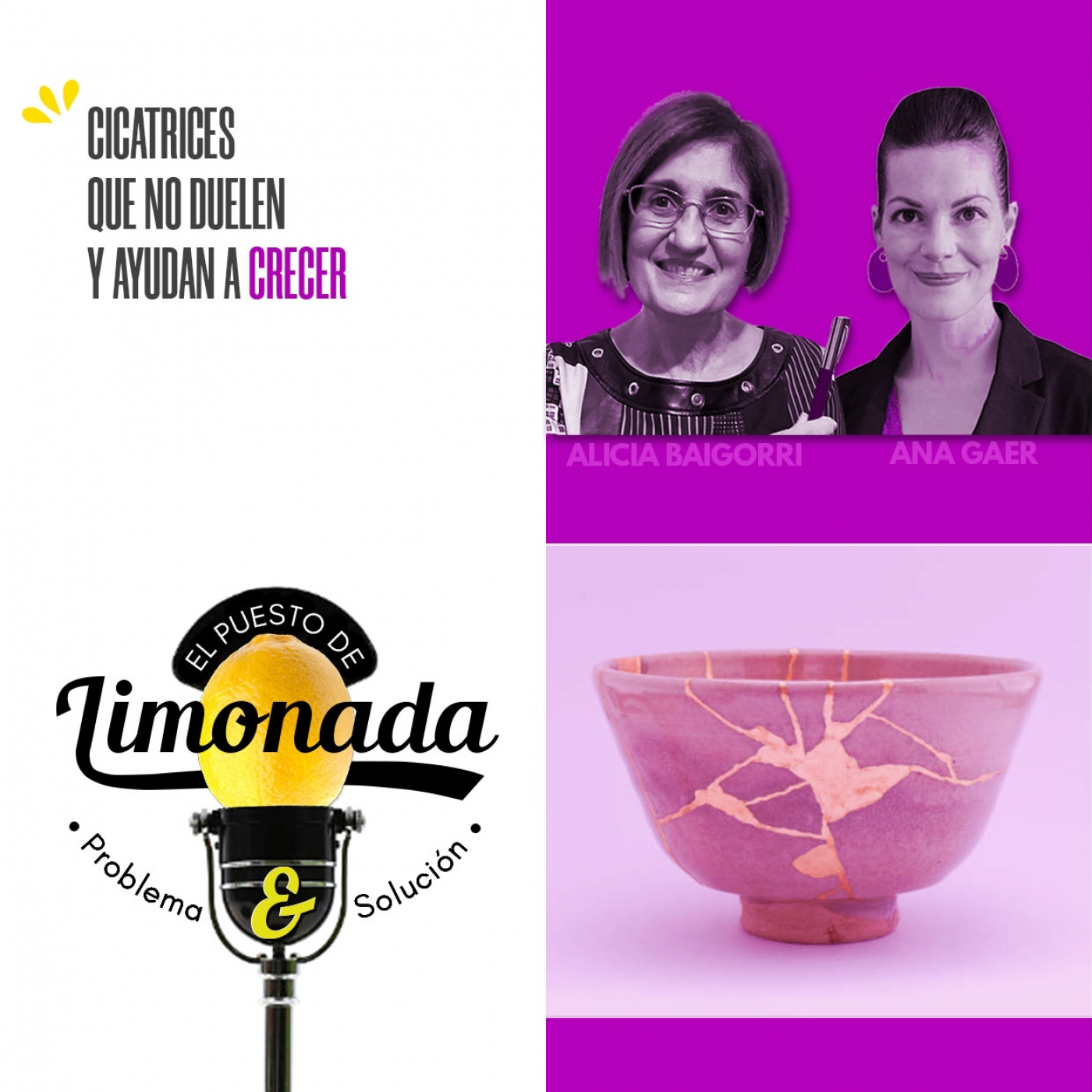 El Puesto de Limonada de P&S - Problema y Solución