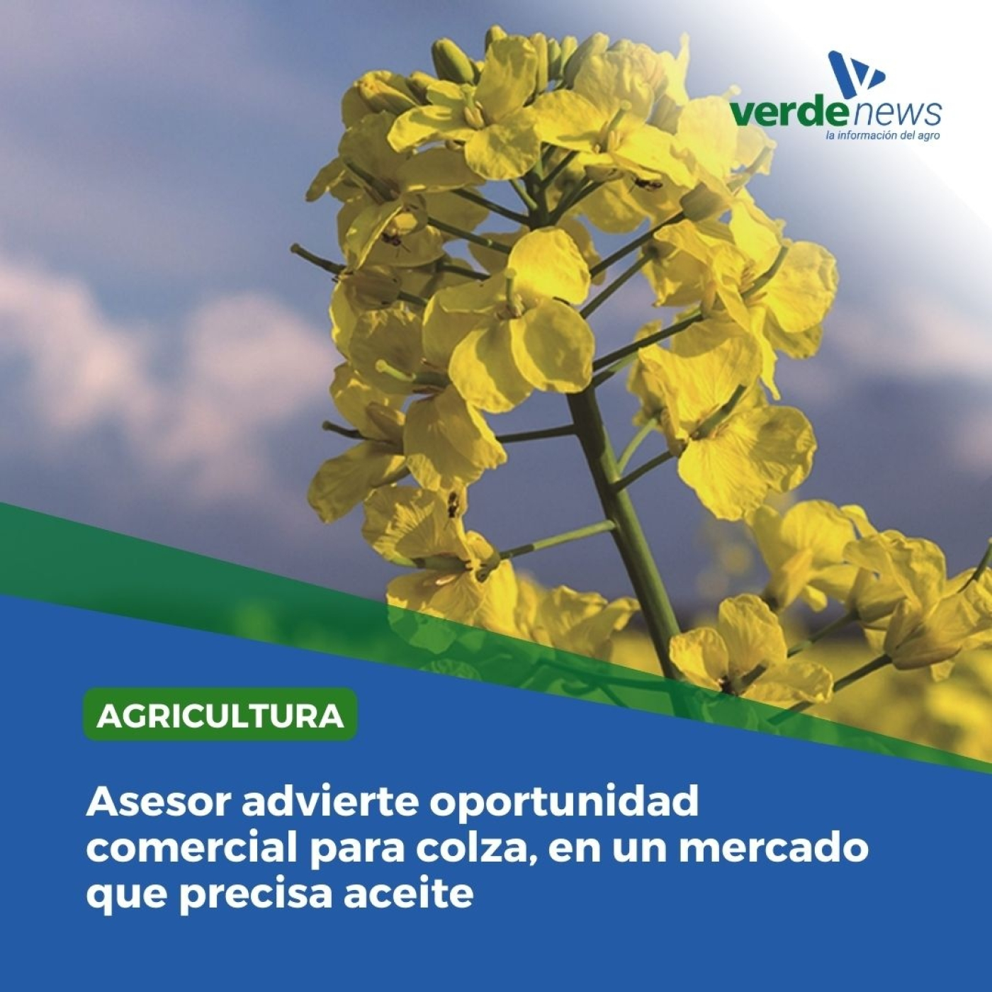 verdemedia