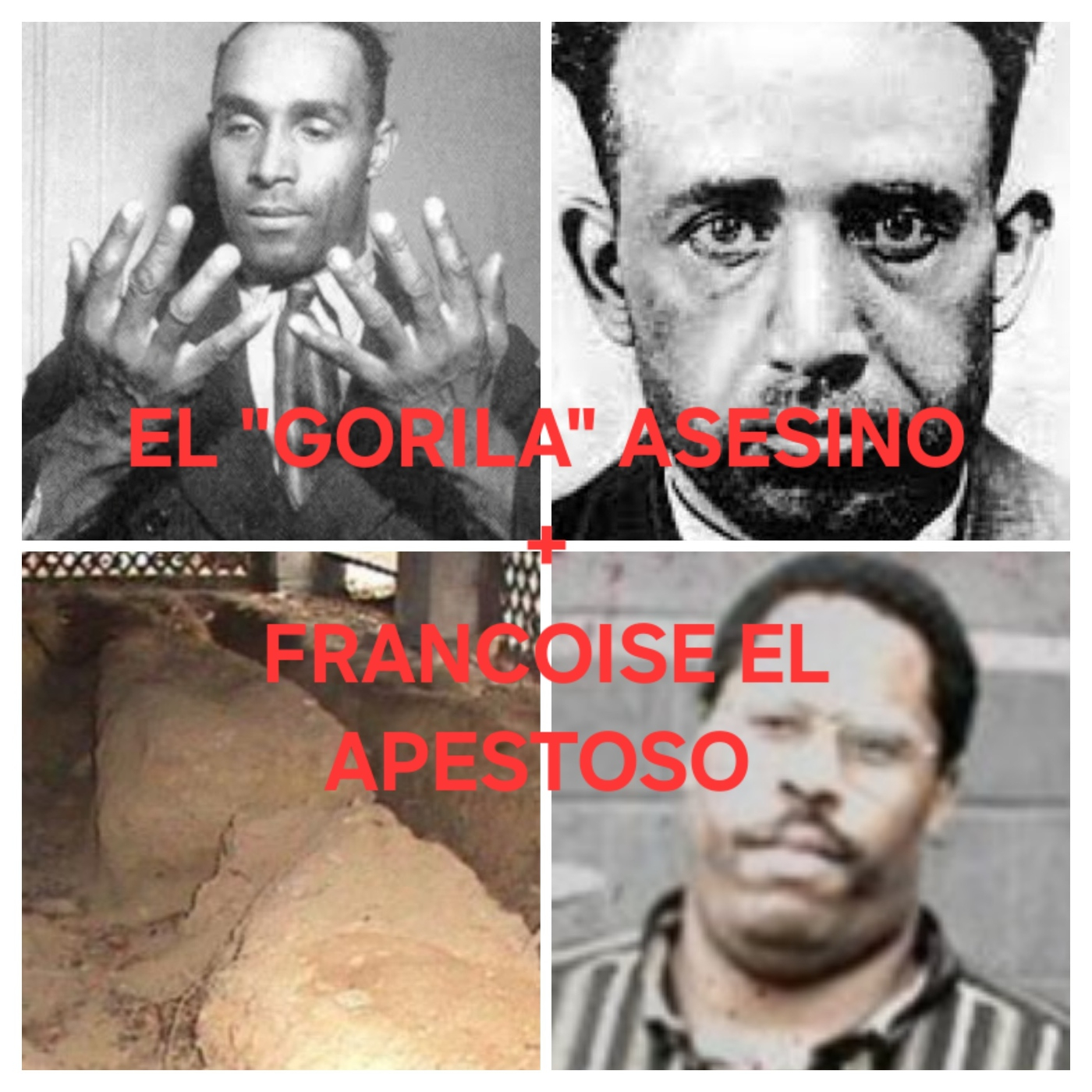 ASESINOS "MADE IN AMÉRICA ".EL GORILA Y EL APESTOSO. episode artwork
