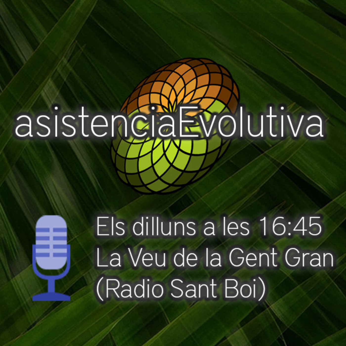 Asistencia Evolutiva - Programas de Radio