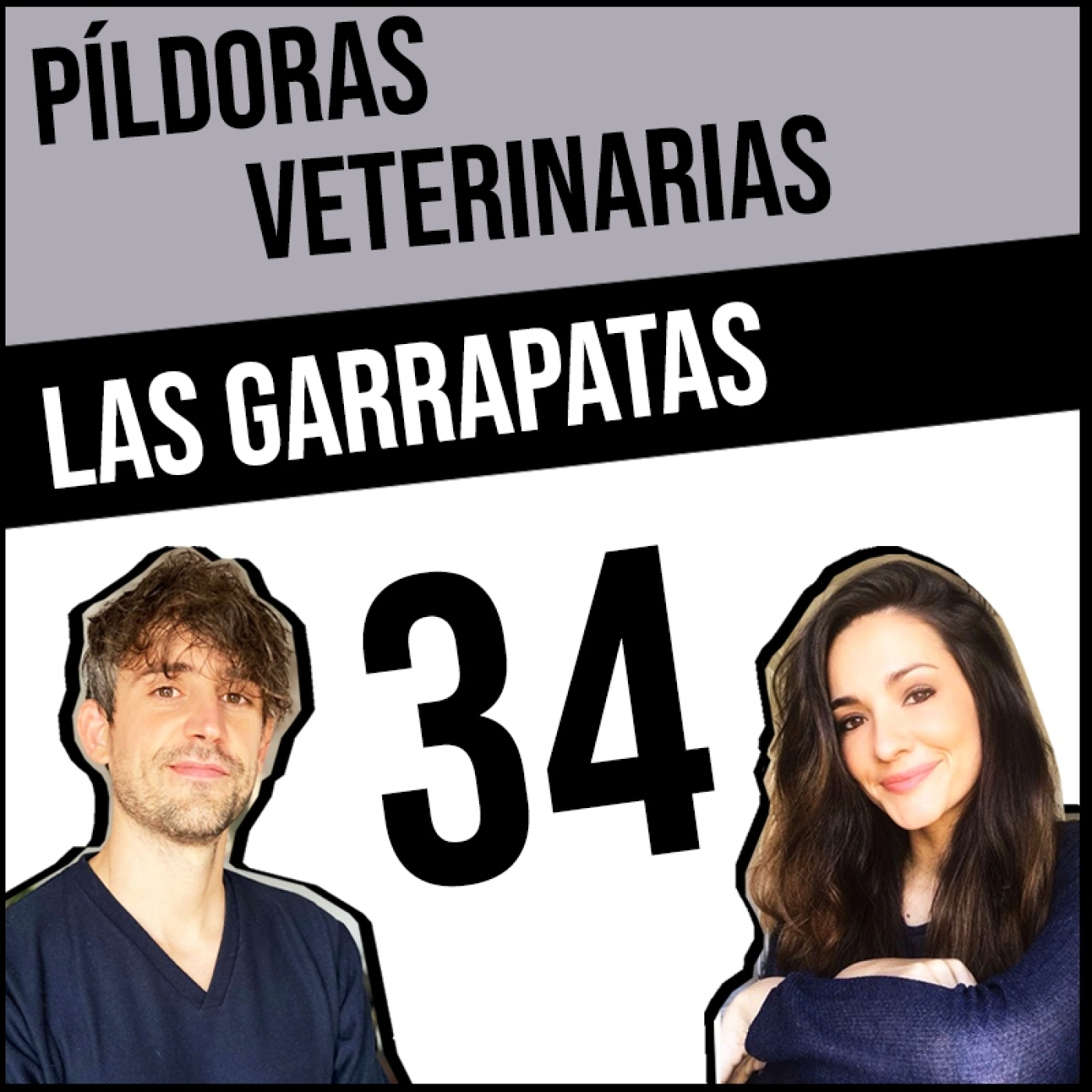 Píldoras Veterinarias
