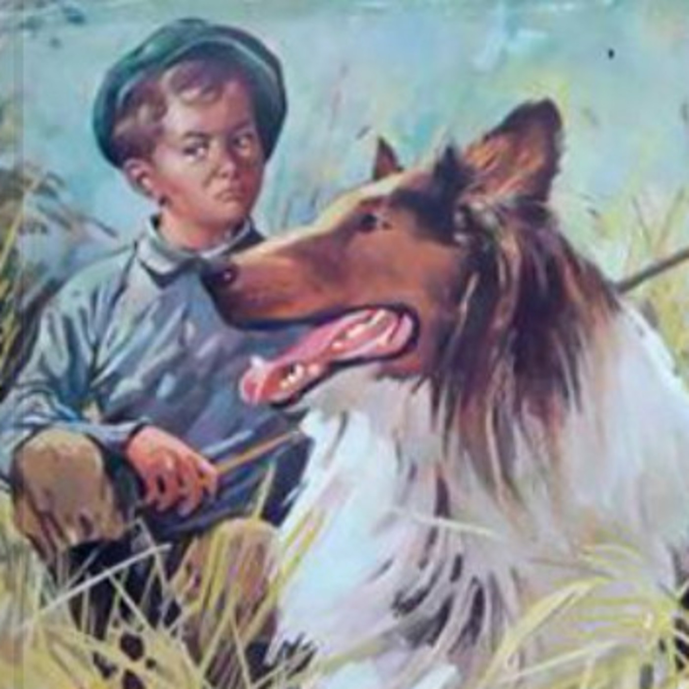 Shadow, el perro pastor - Cap 1