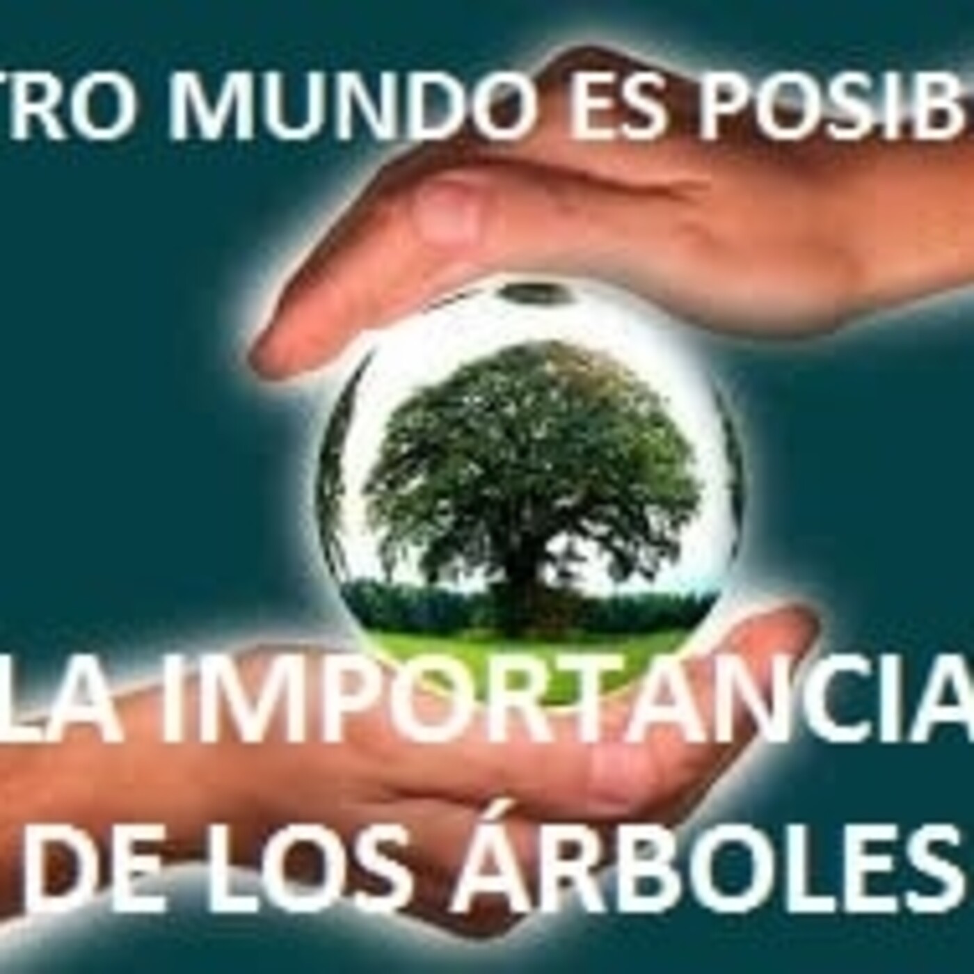 OTRO MUNDO ES POSIBLE