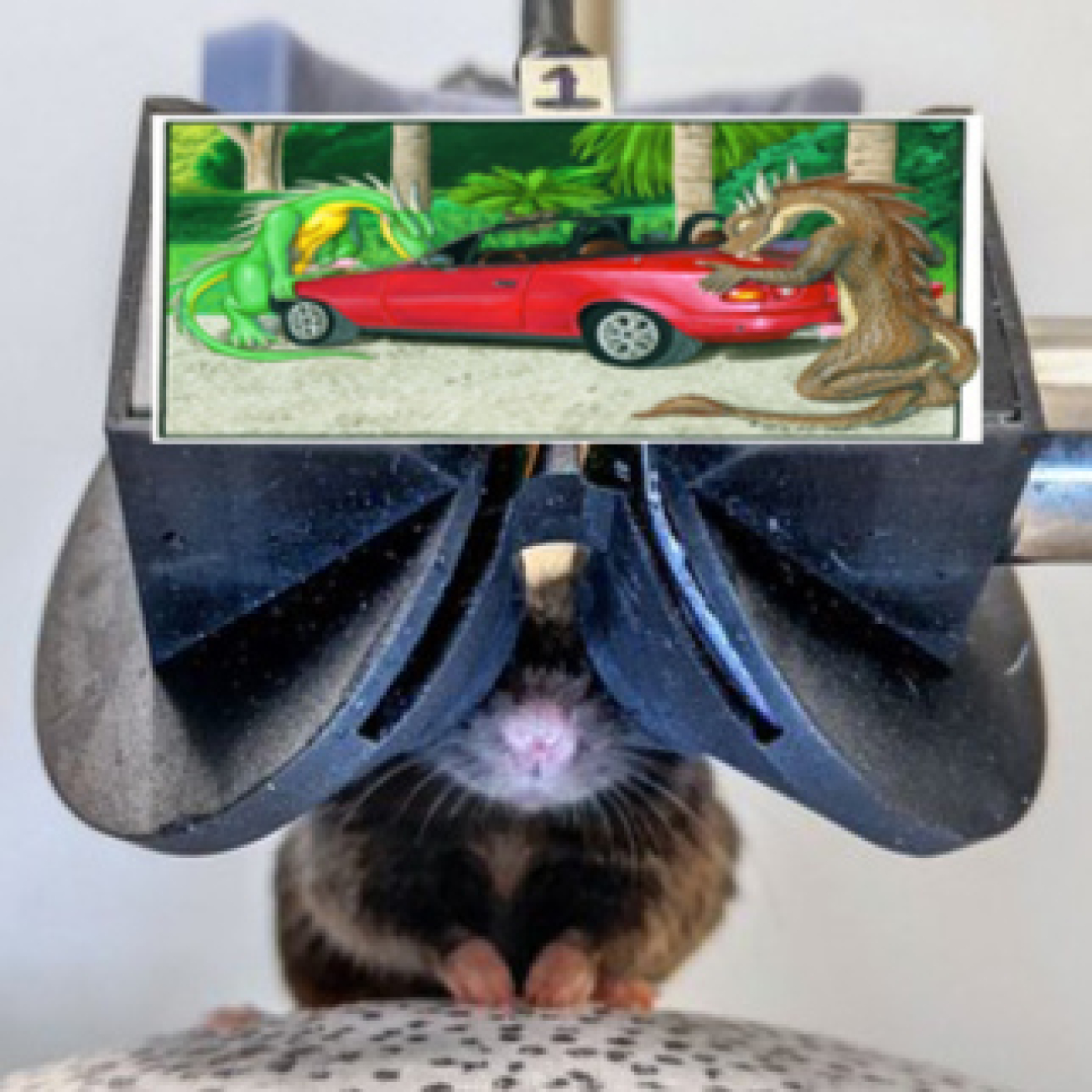 El podcast de VR