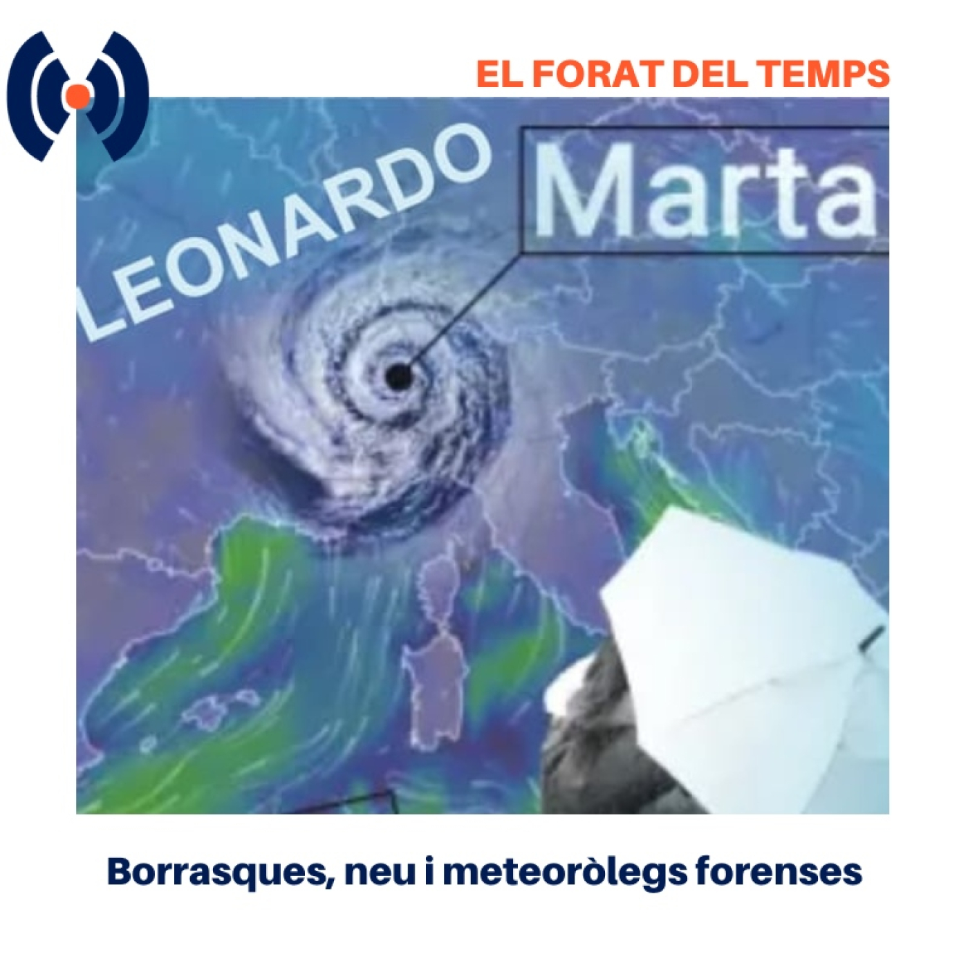 Borrasques, neu i meteoròlegs forenses
