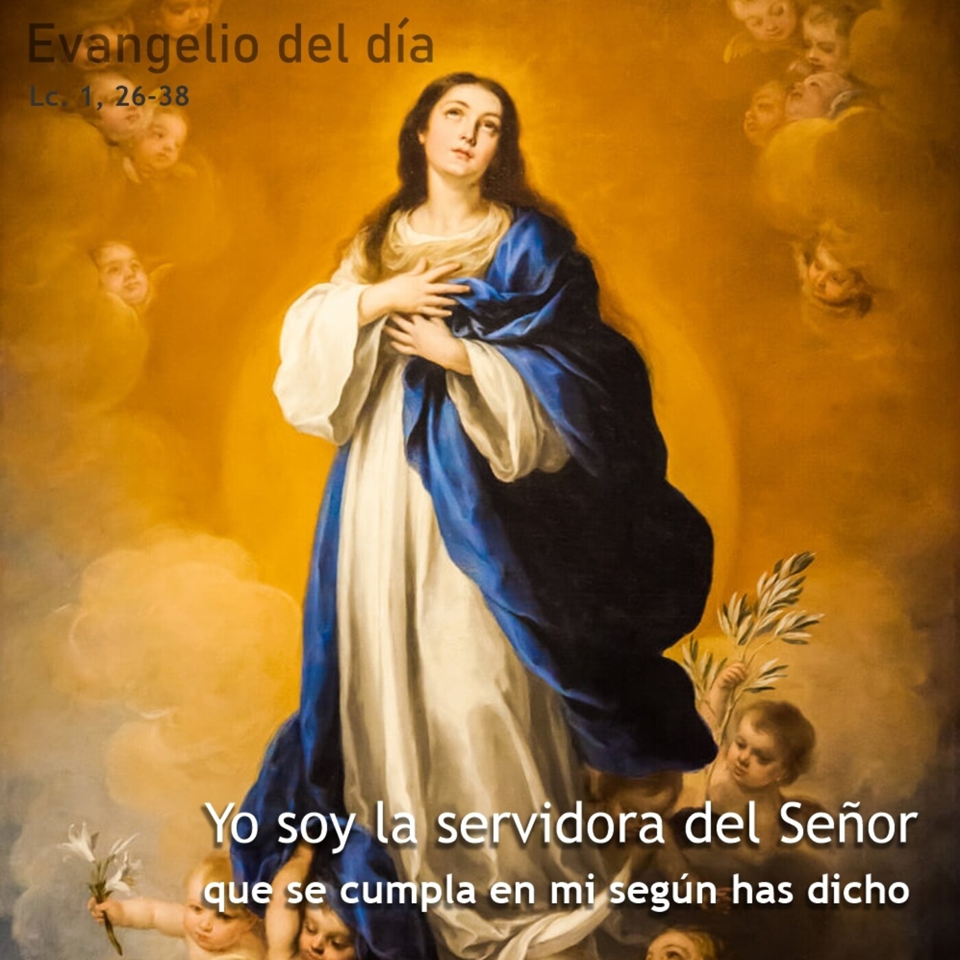 8 de diciembre de 2020