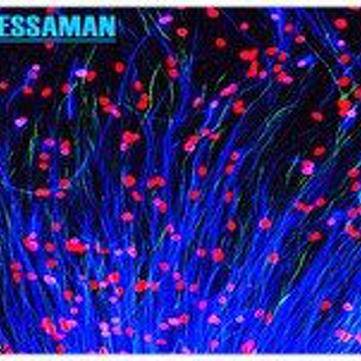 A.Kessaman@ETC: episode artwork