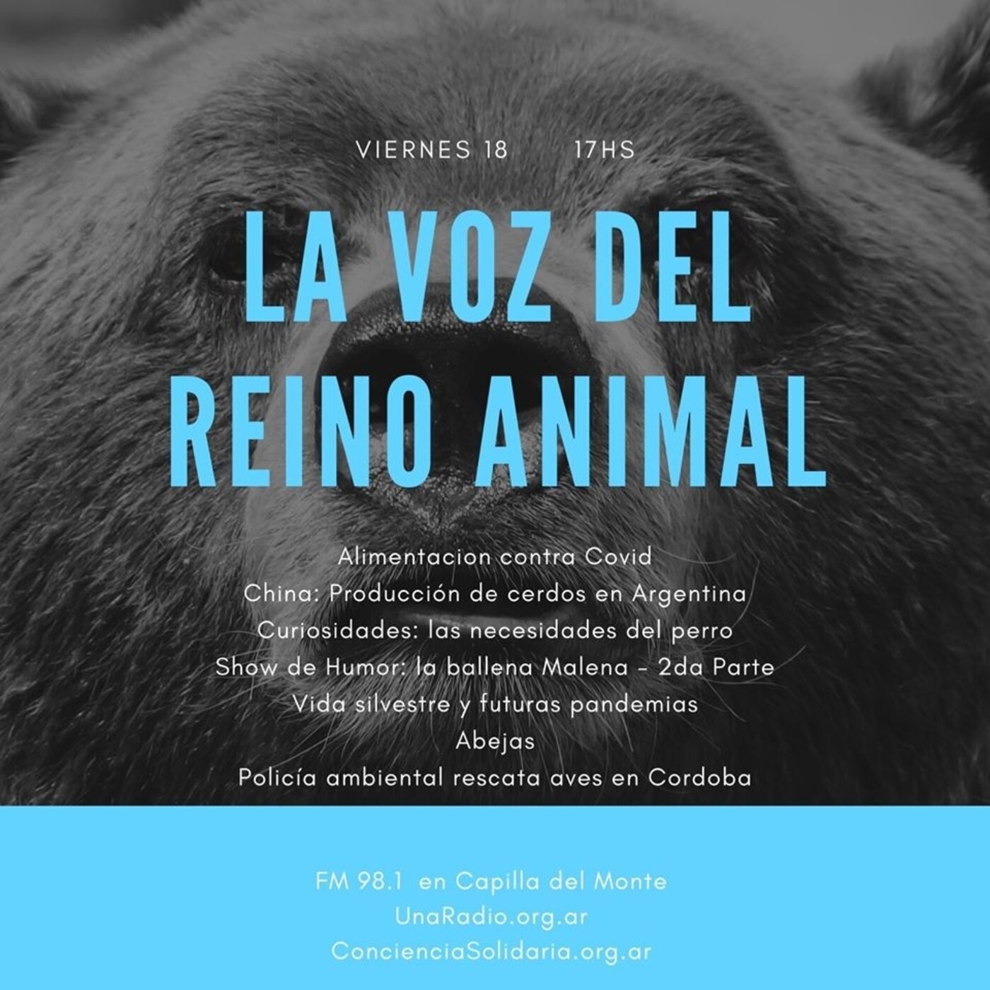 #LaVozDelReinoAnimal 17.07.2020 episode artwork