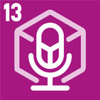 13. La importancia del packaging en 2020.