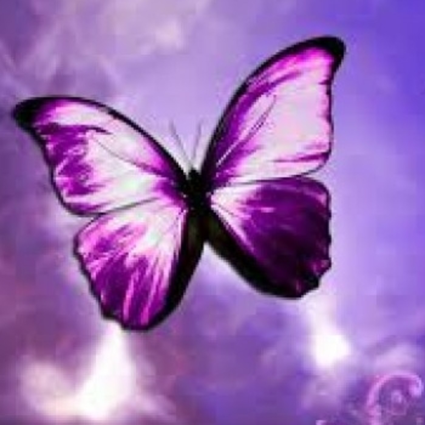 Mi Poesía en mi voz