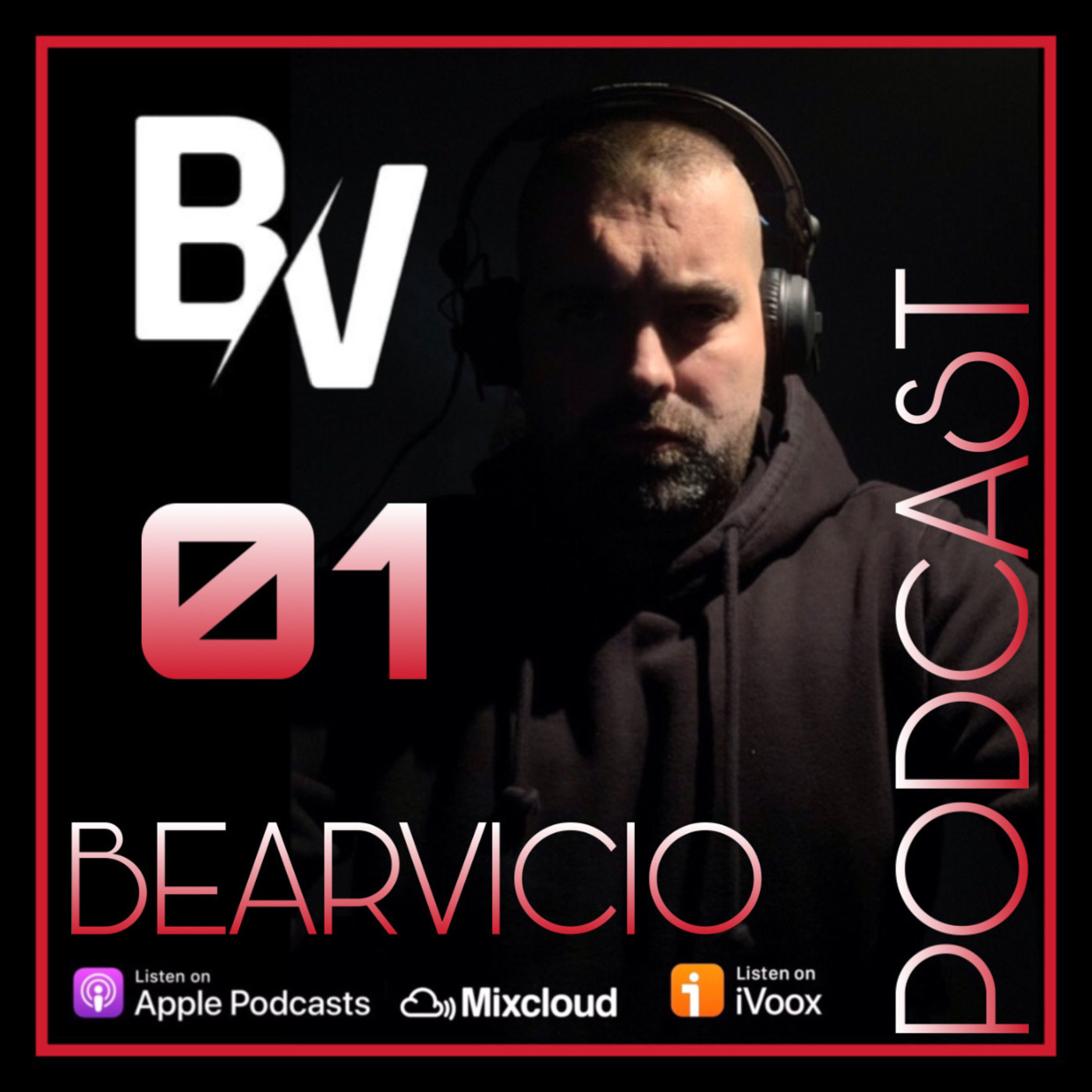 BEARVICIO