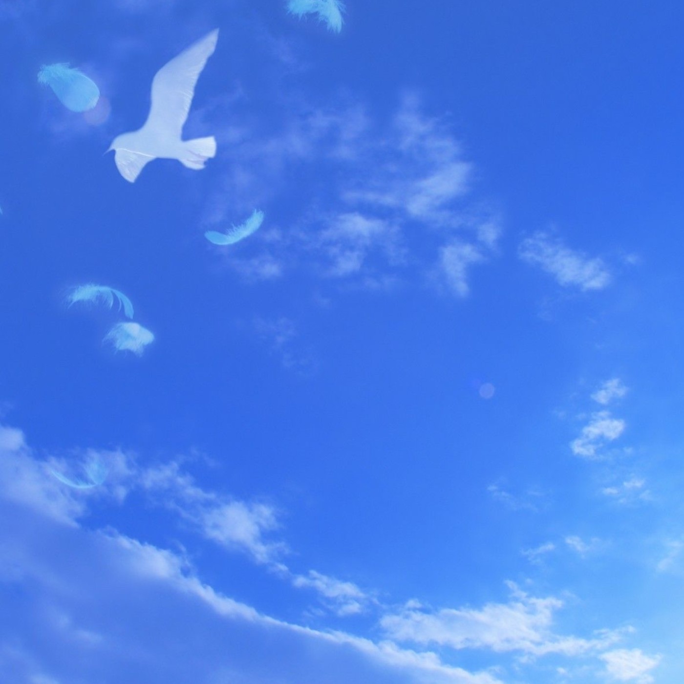 CONOCE-T - VIVIENDO DESDE EL ESTADO DE \