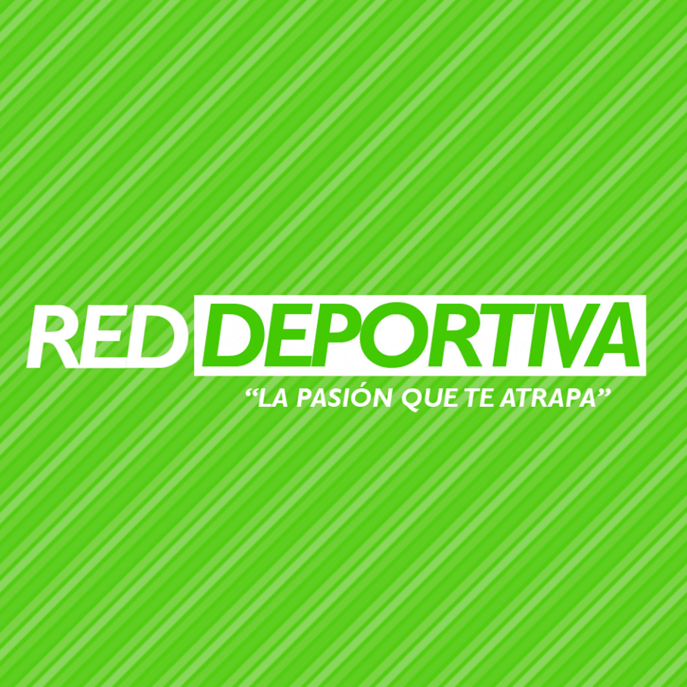 Partidos PrimeraB