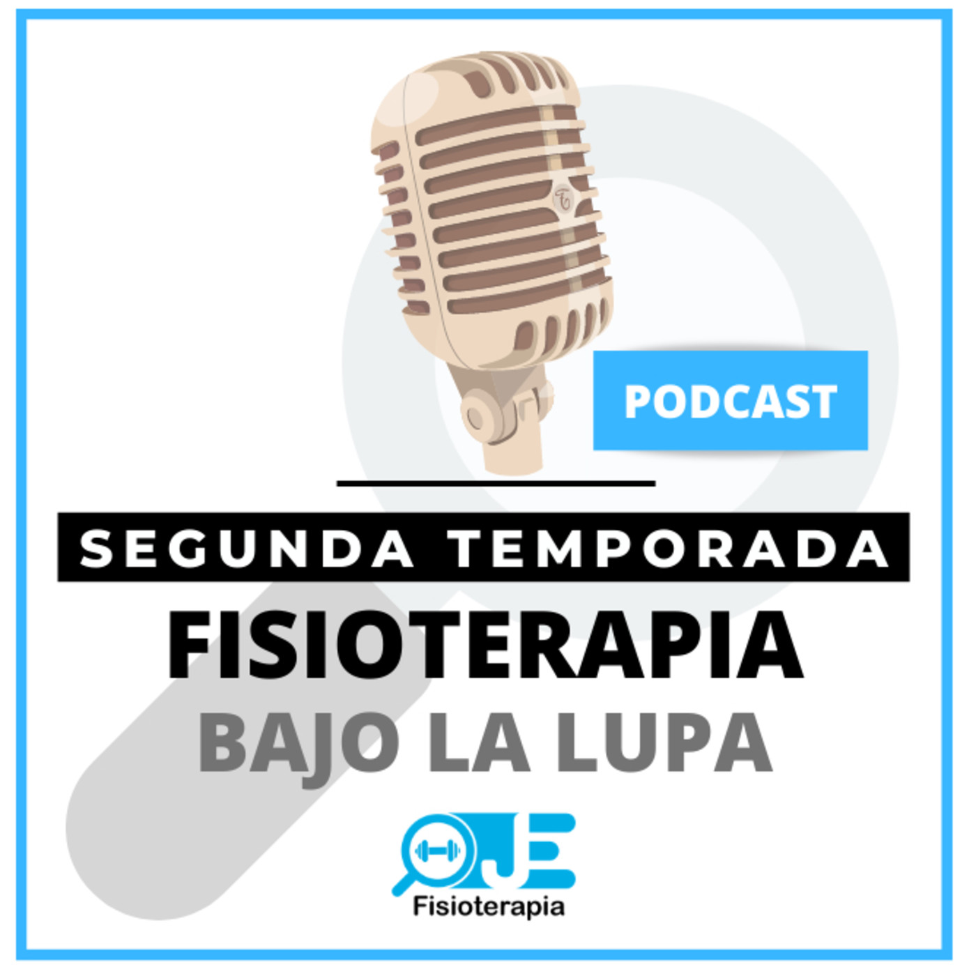 Fisioterapia bajo la lupa