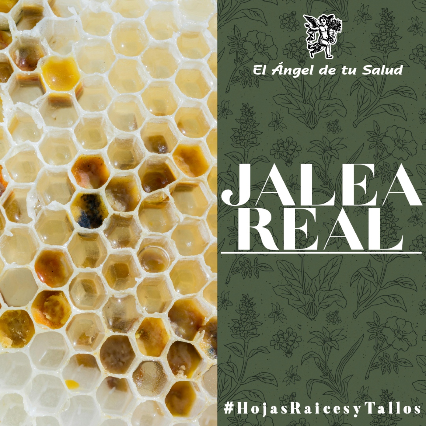 El Ángel de tu Salud - Jalea Real** episode artwork