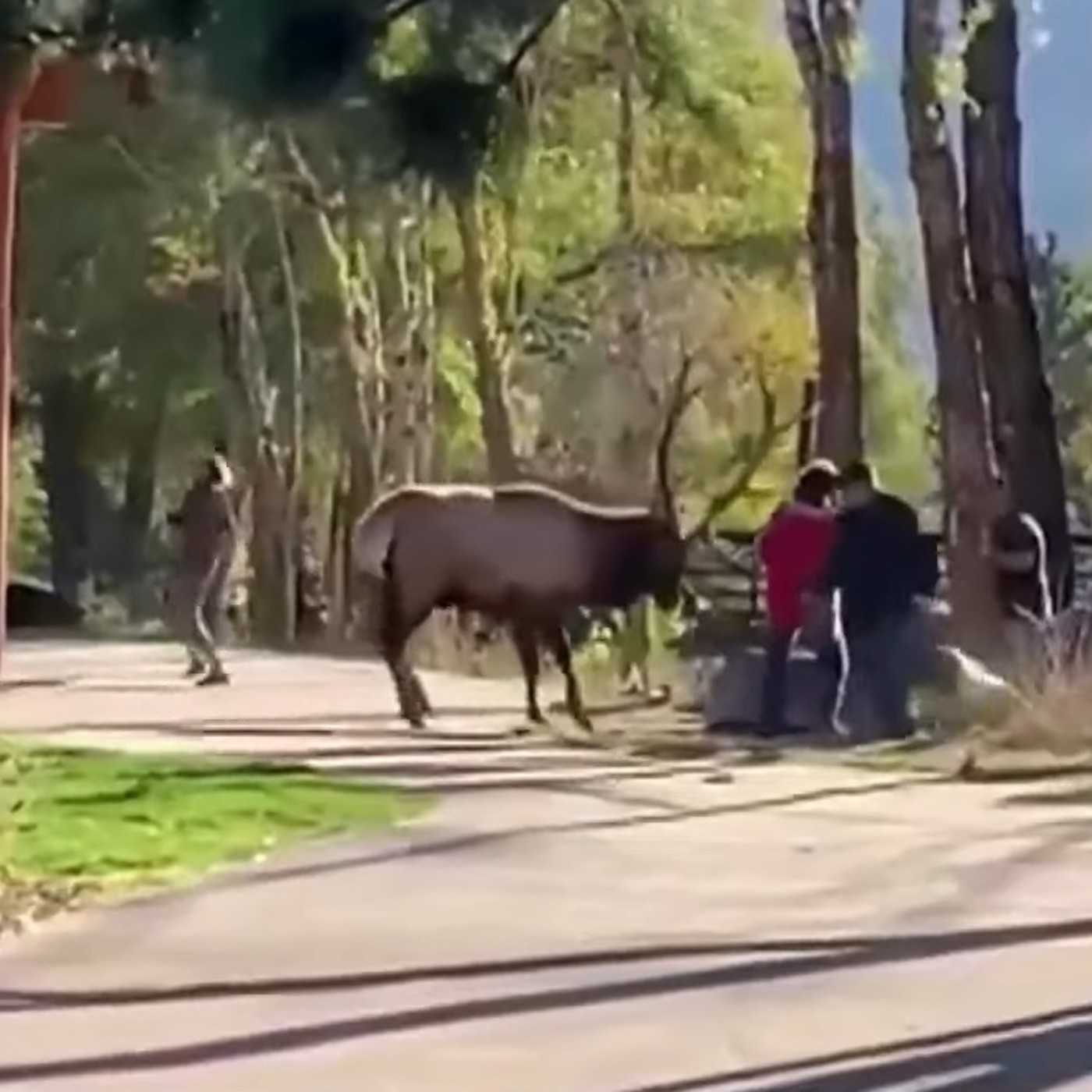 El Rincón del Hombre Libre