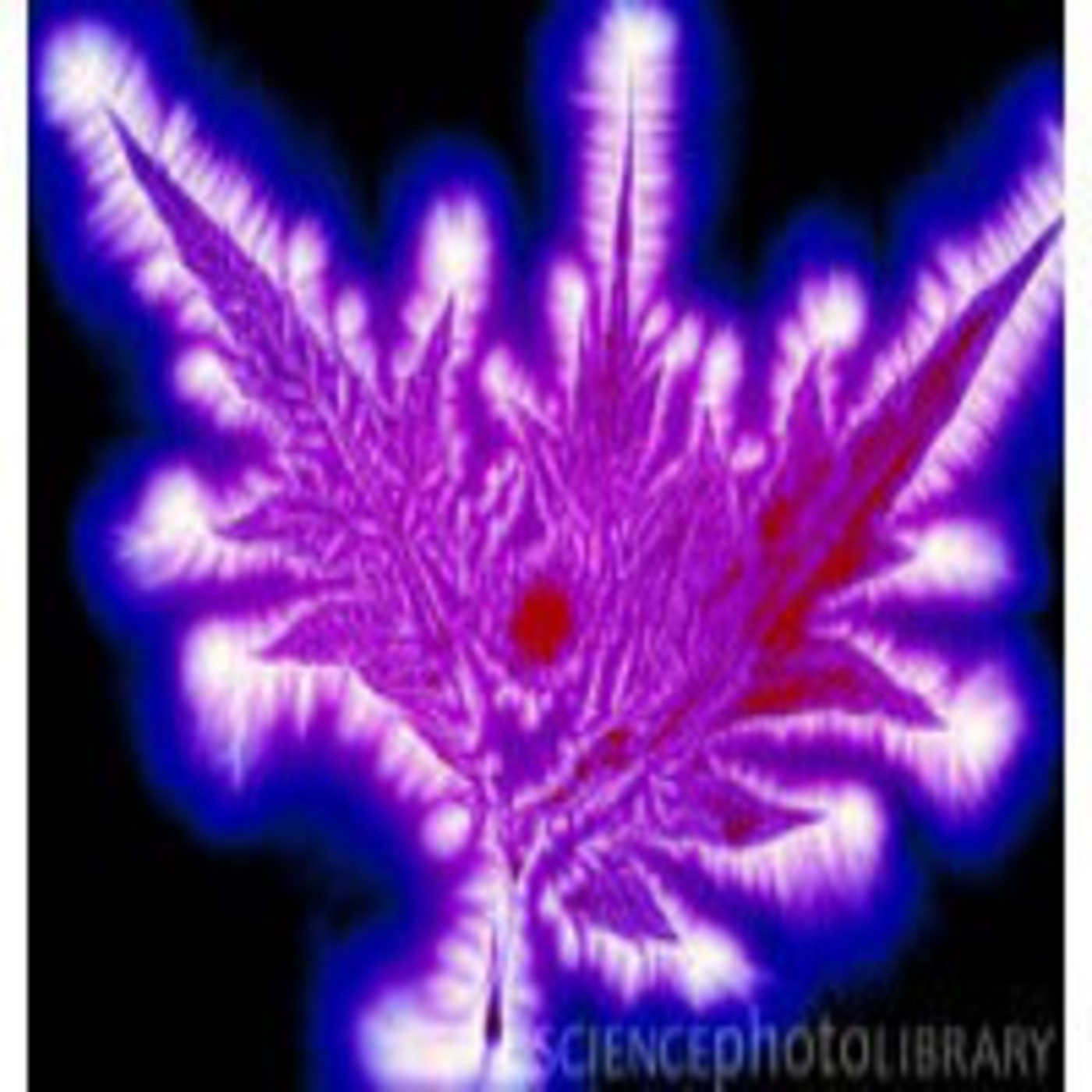 Radionica