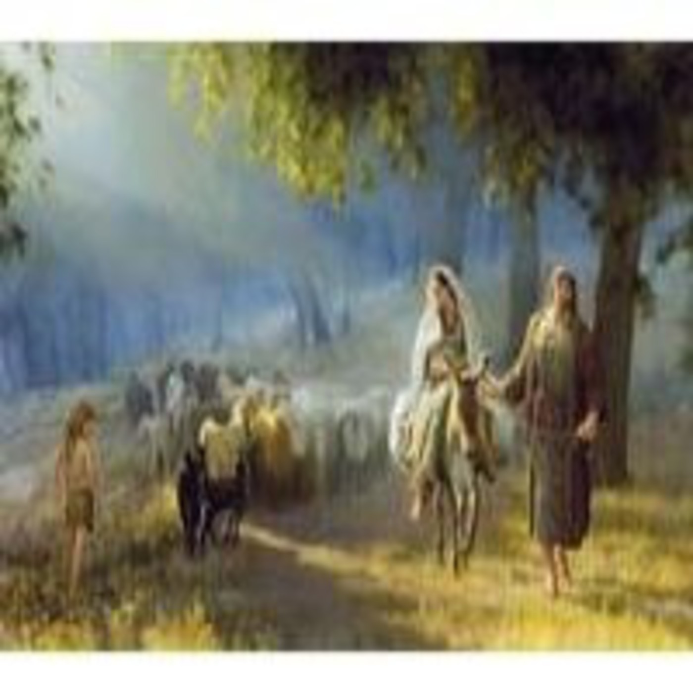 Lecturas 1 de Enero, Sta María Madre de Dios, Año Nuevo