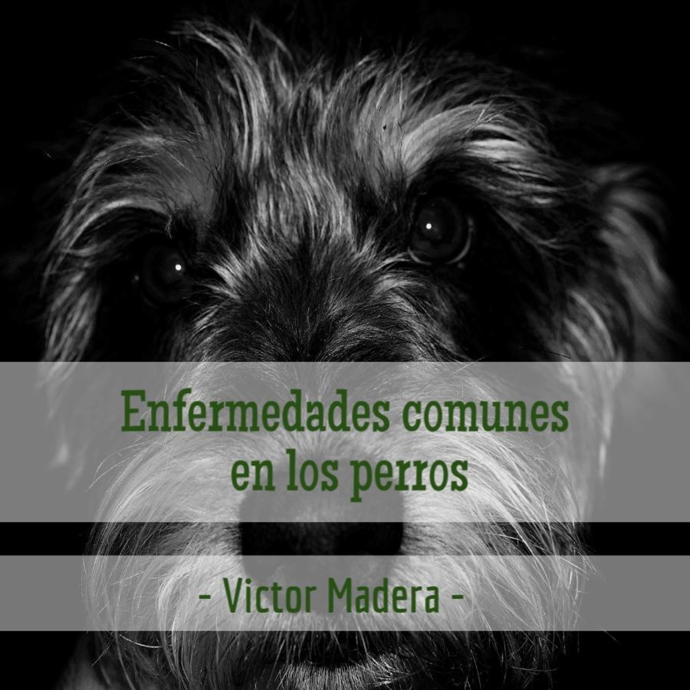 Victor Madera
