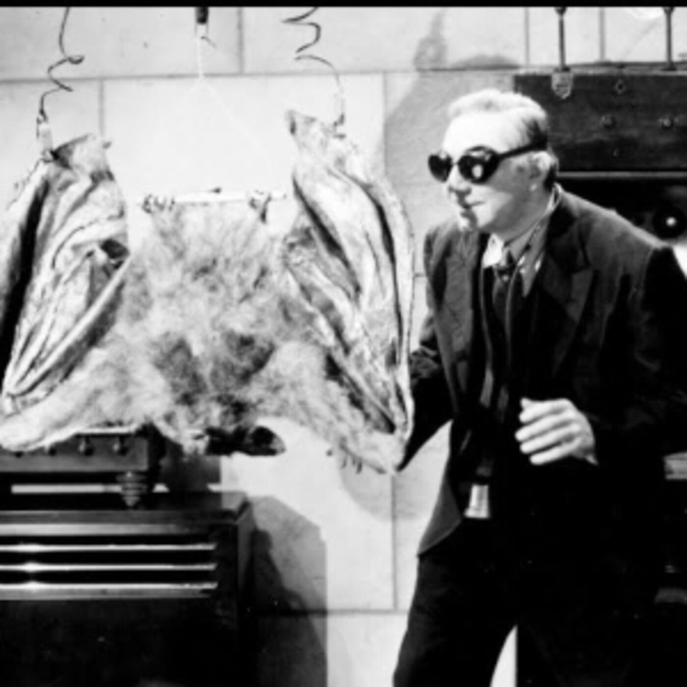 31 días de terror IV #4- El murciélago diabólico (Jean Yarbrough,1940) - Episodio exclusivo para mecenas