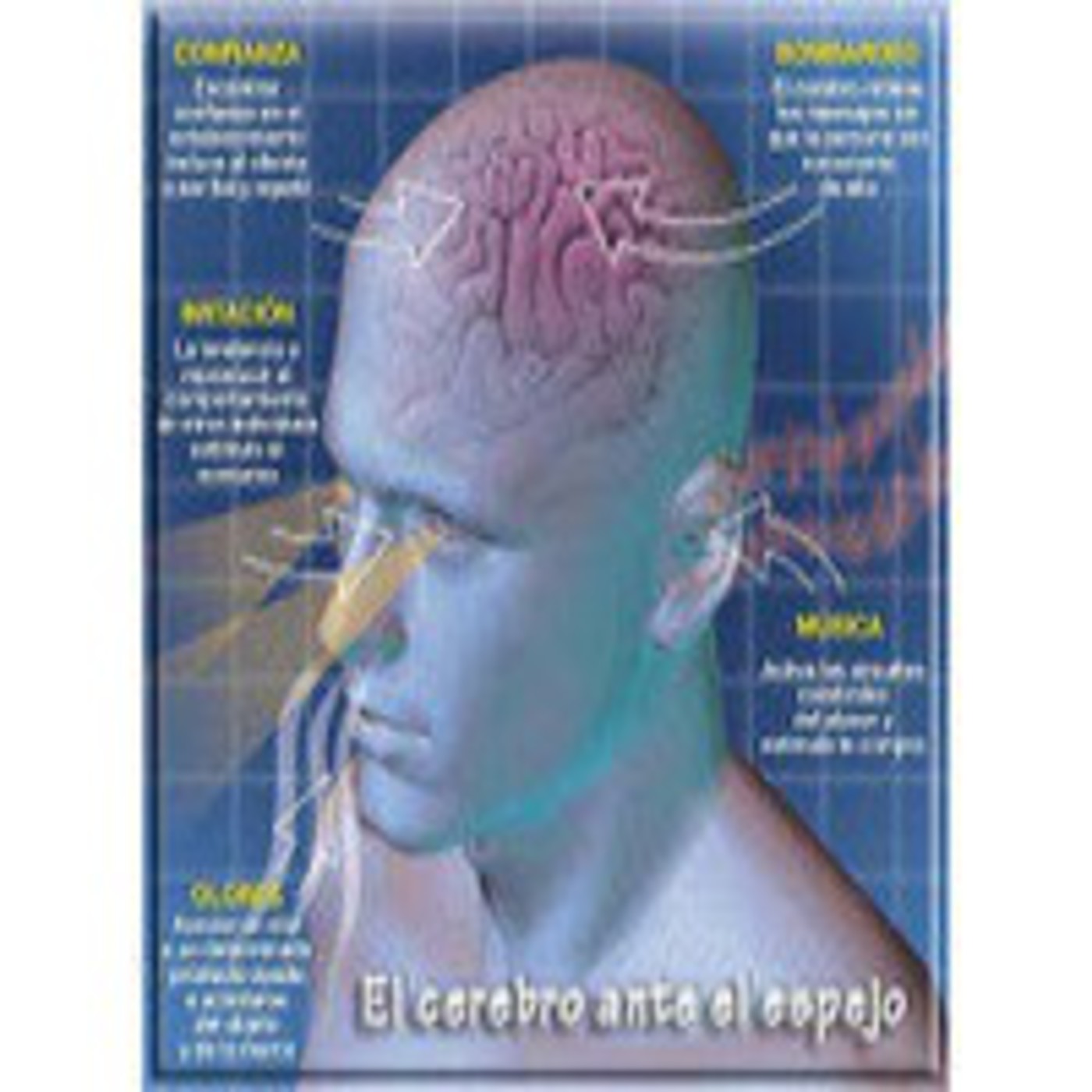 PSICOLOGÍA