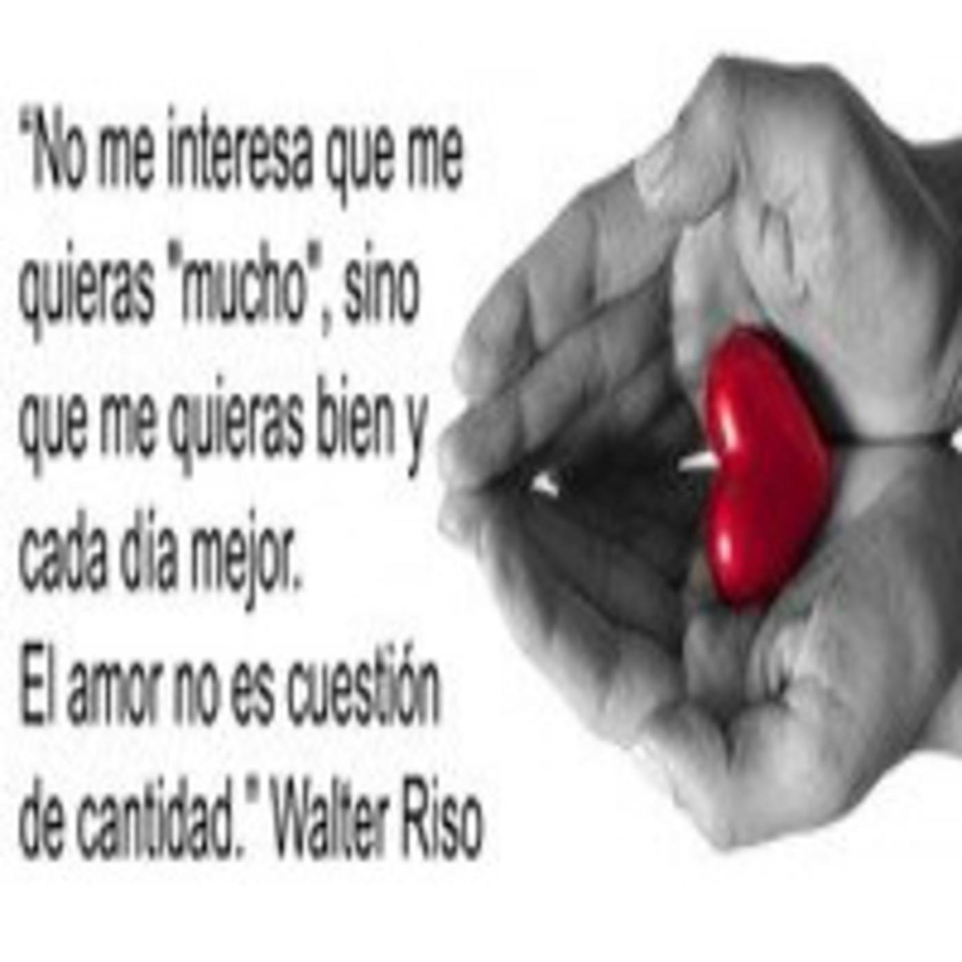 Colección de Mariposas...Música para sentir