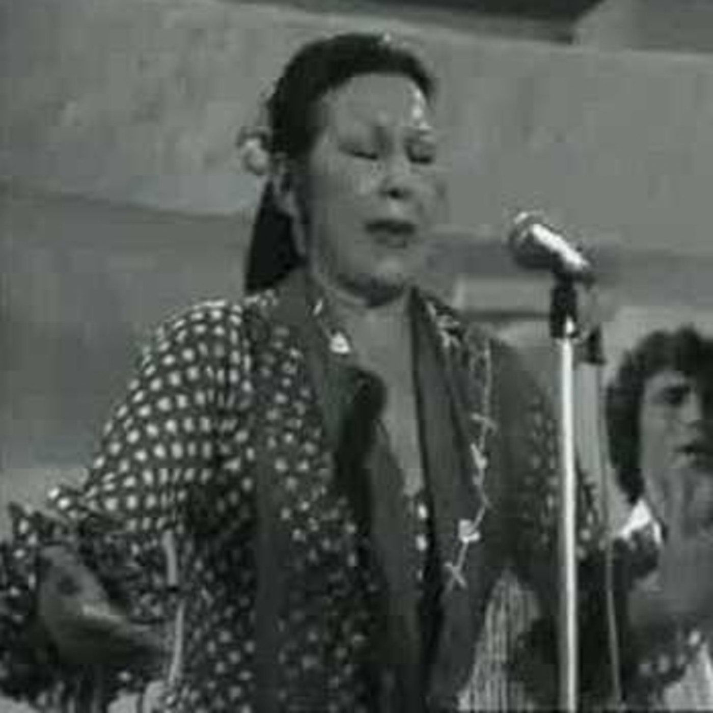 Cantando por Fandangos