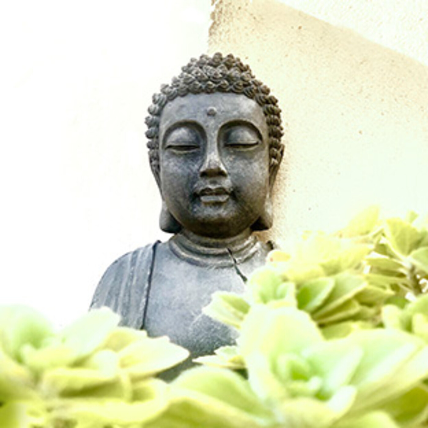 El Podcast EFT - Ana Espiga