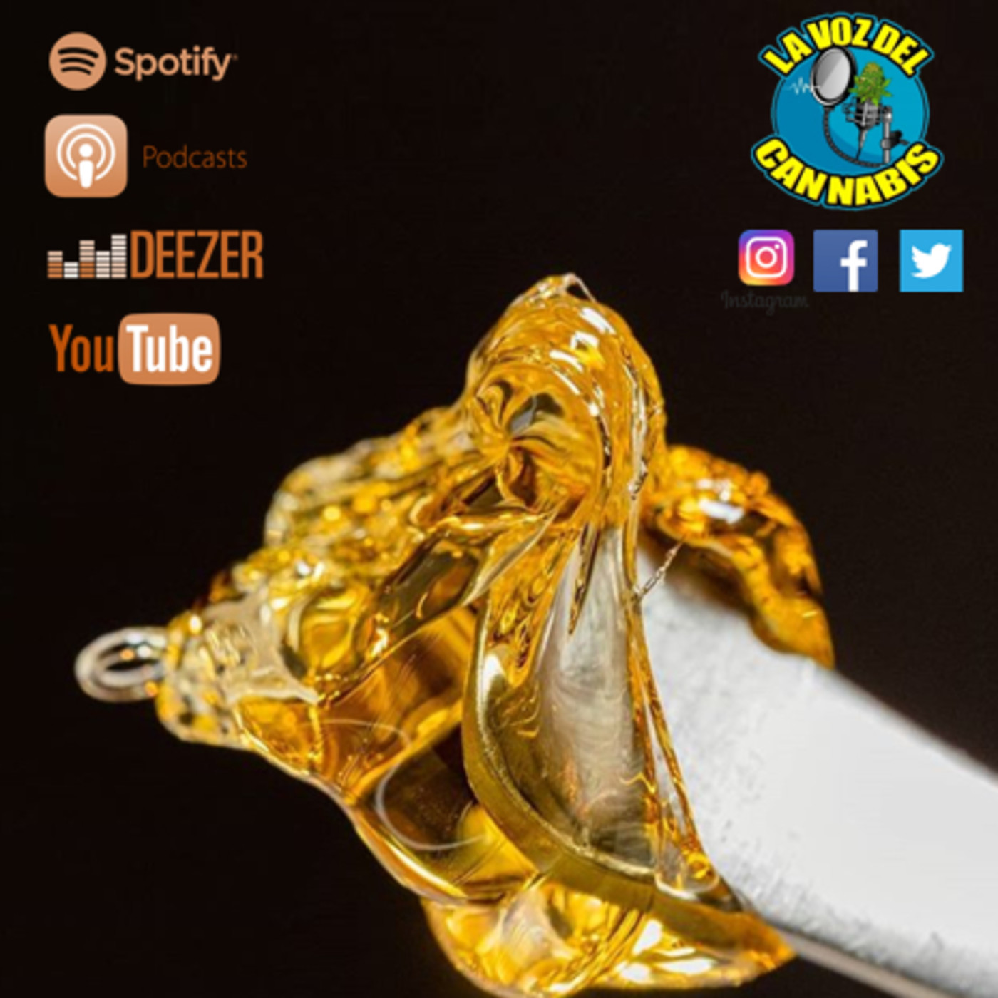La Voz del Cannabis