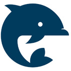 embed image