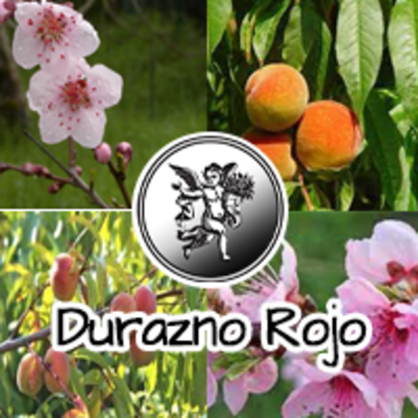 El Angel de tu Salud - DURAZNO ROJO *** episode artwork