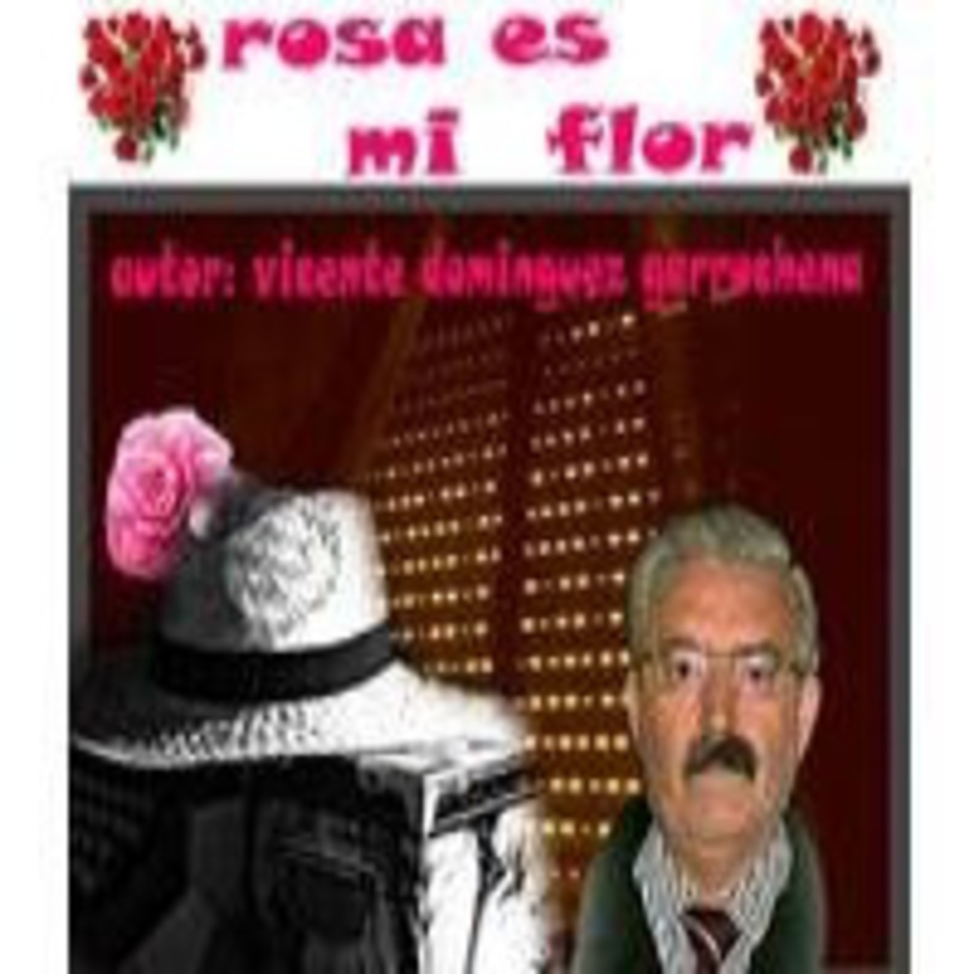 http://www.facebook.com/vicentedebonares