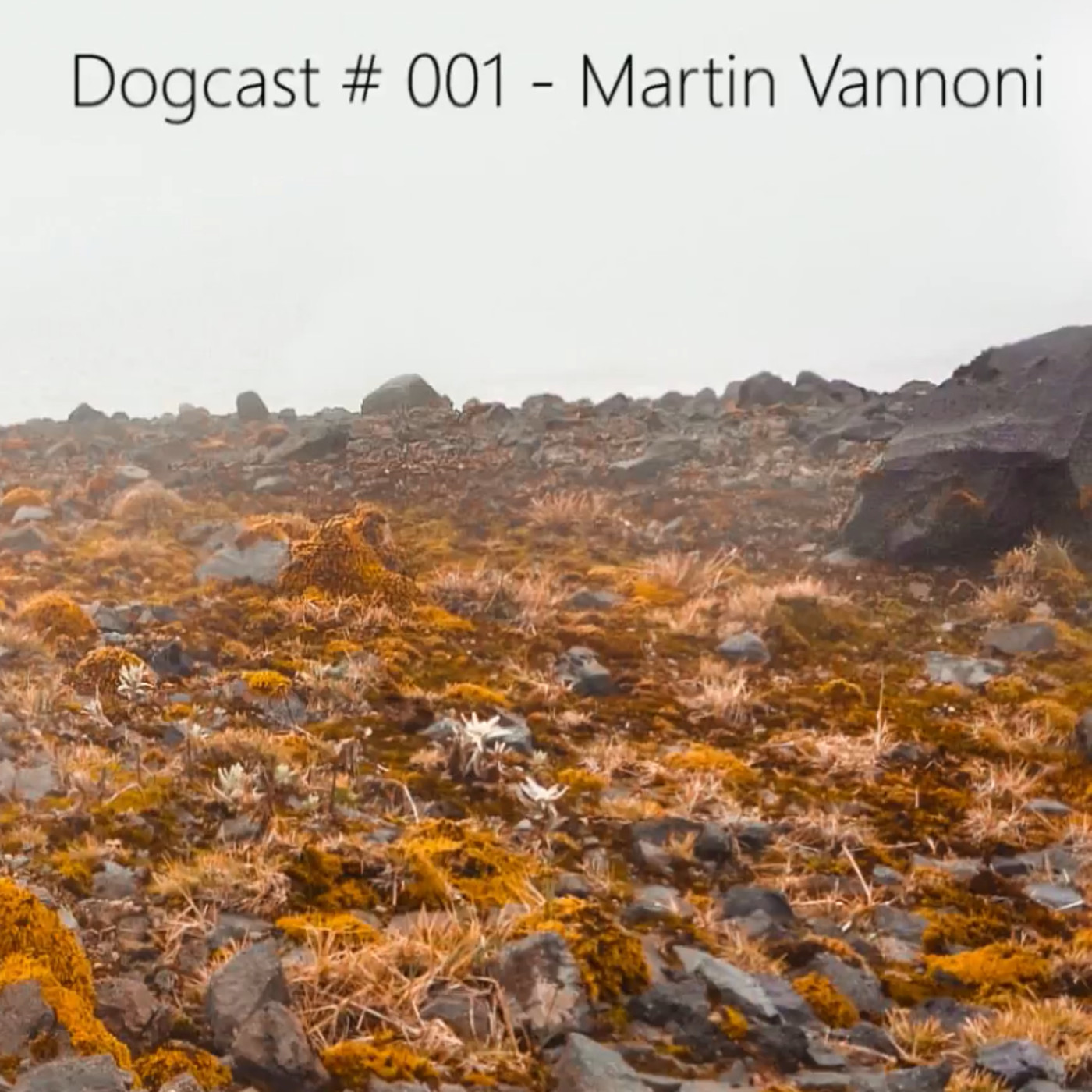 Mundo Perro Dogcasts Sessions