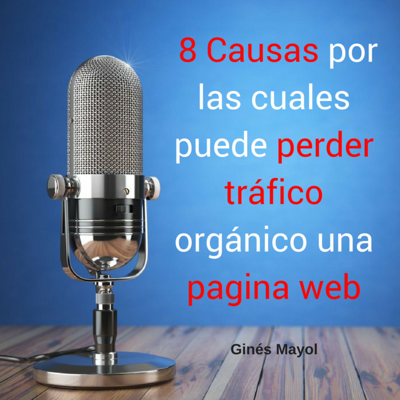 Gines Mayol - SEO