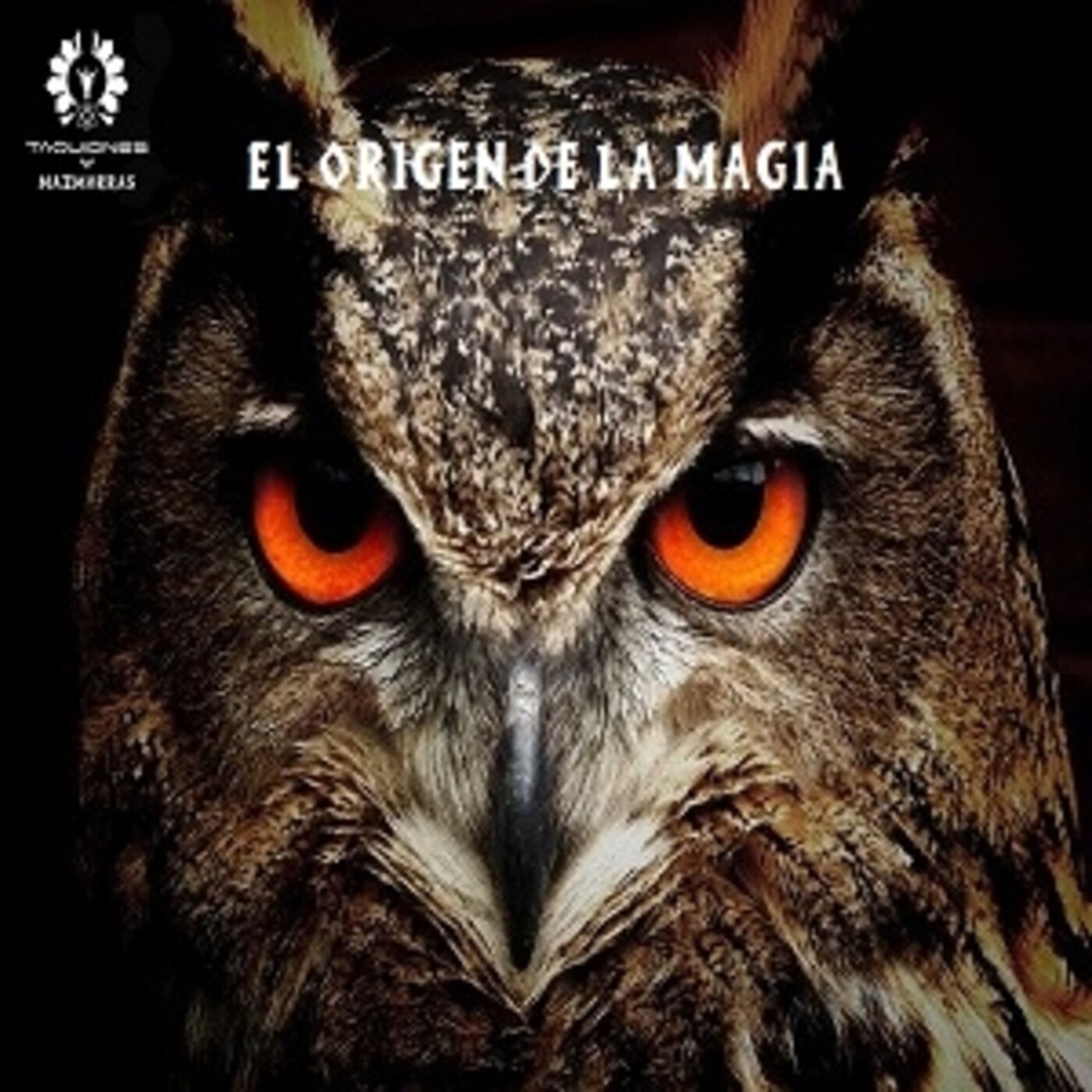 Taquiones y Mazmorras