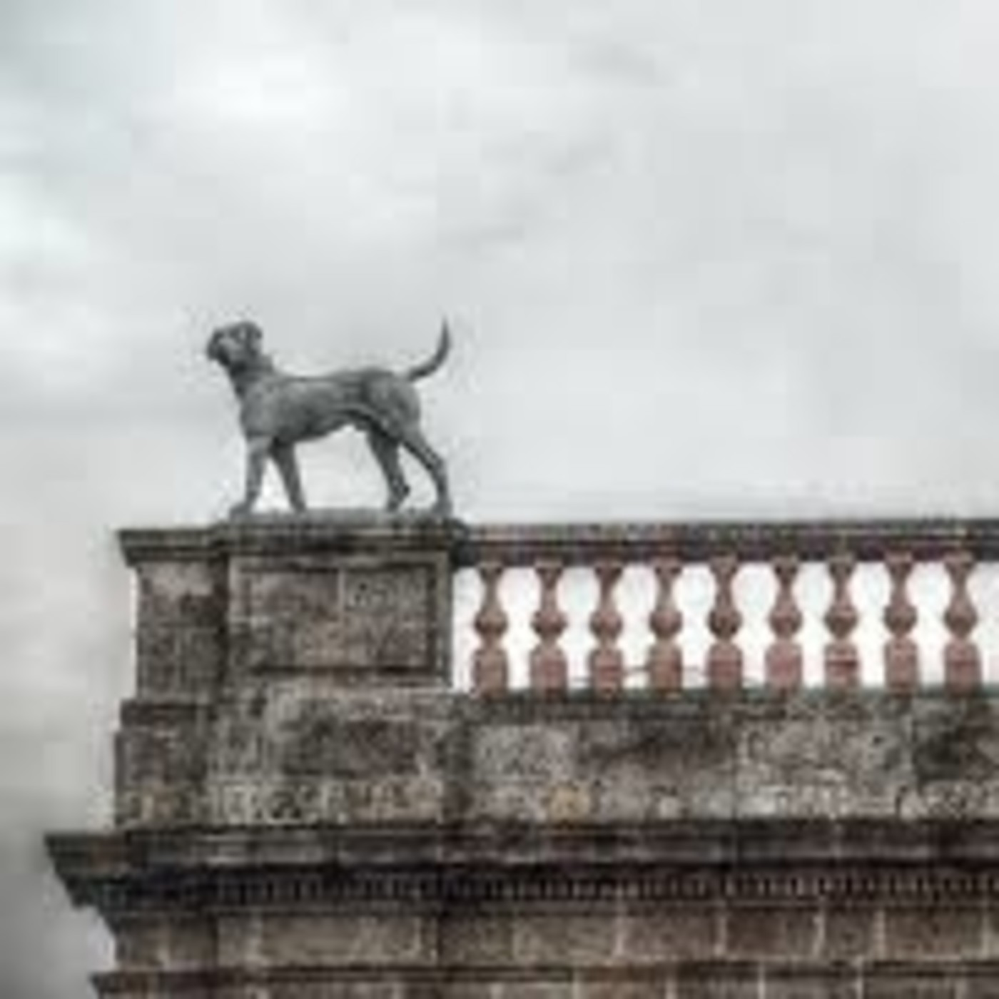 El murmullo de la sombra