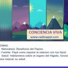Mejora la comunicacion con los hijos/Propiedades del pepino/Biodescodificacion Higado y la Ira