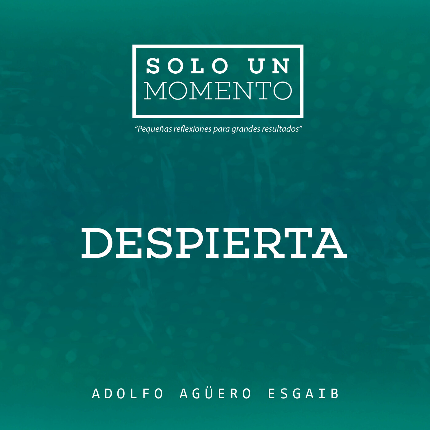 Solo un Momento