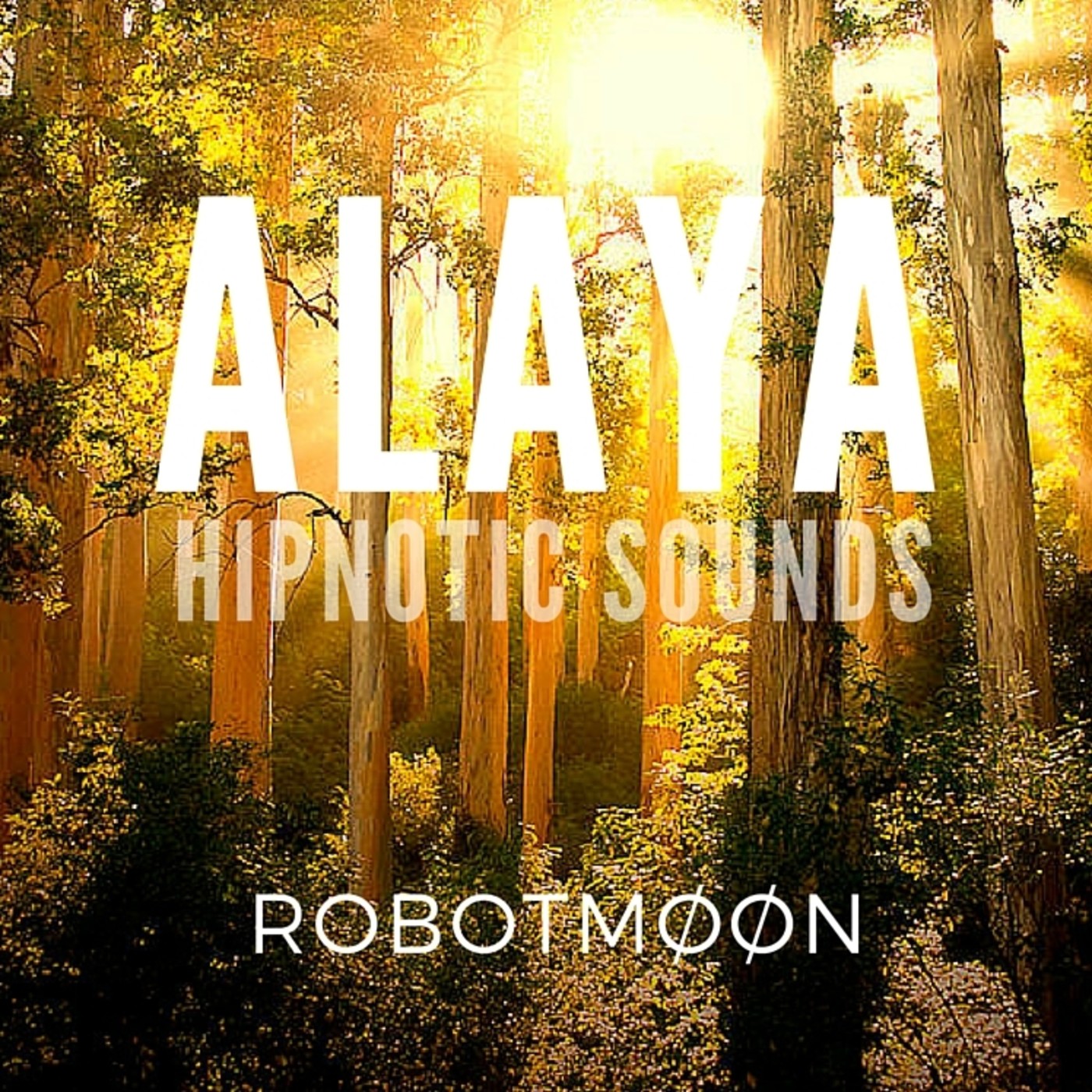 ALAYA hipnotic sounds @ Robotmøøn - Febrero 2016 episode artwork